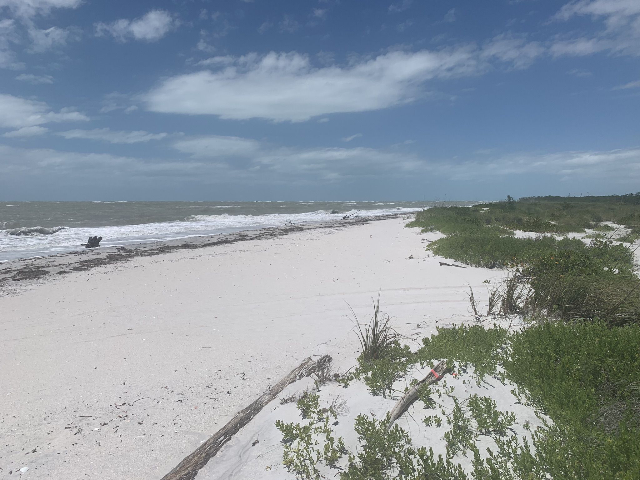 Choppy ocean waves meet a wide white sand beach under a cloudy sky. - South Banks Trail