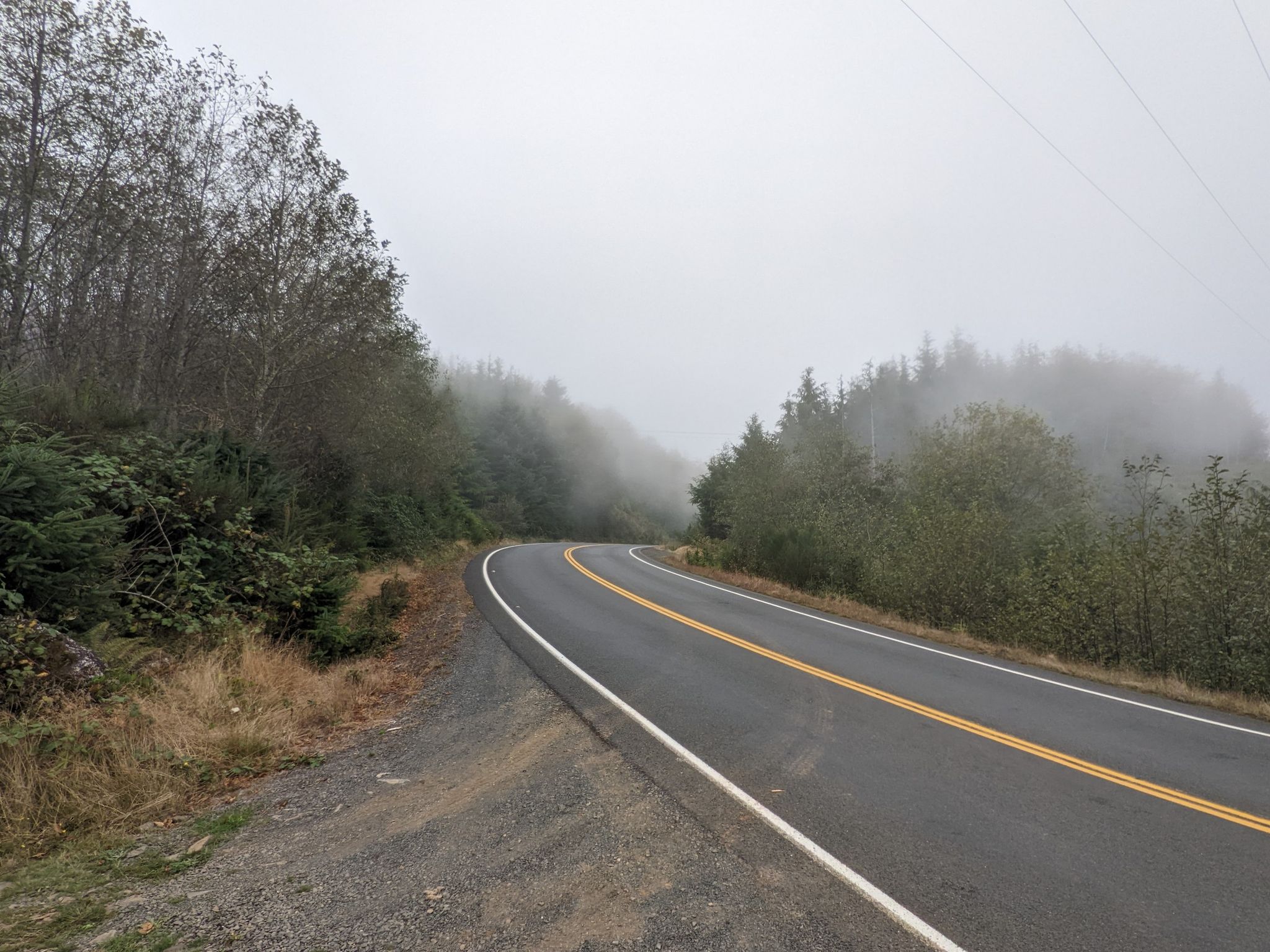 Winding road disappearing into dense fog and trees on a misty day. - Roadbike loop from Astoria