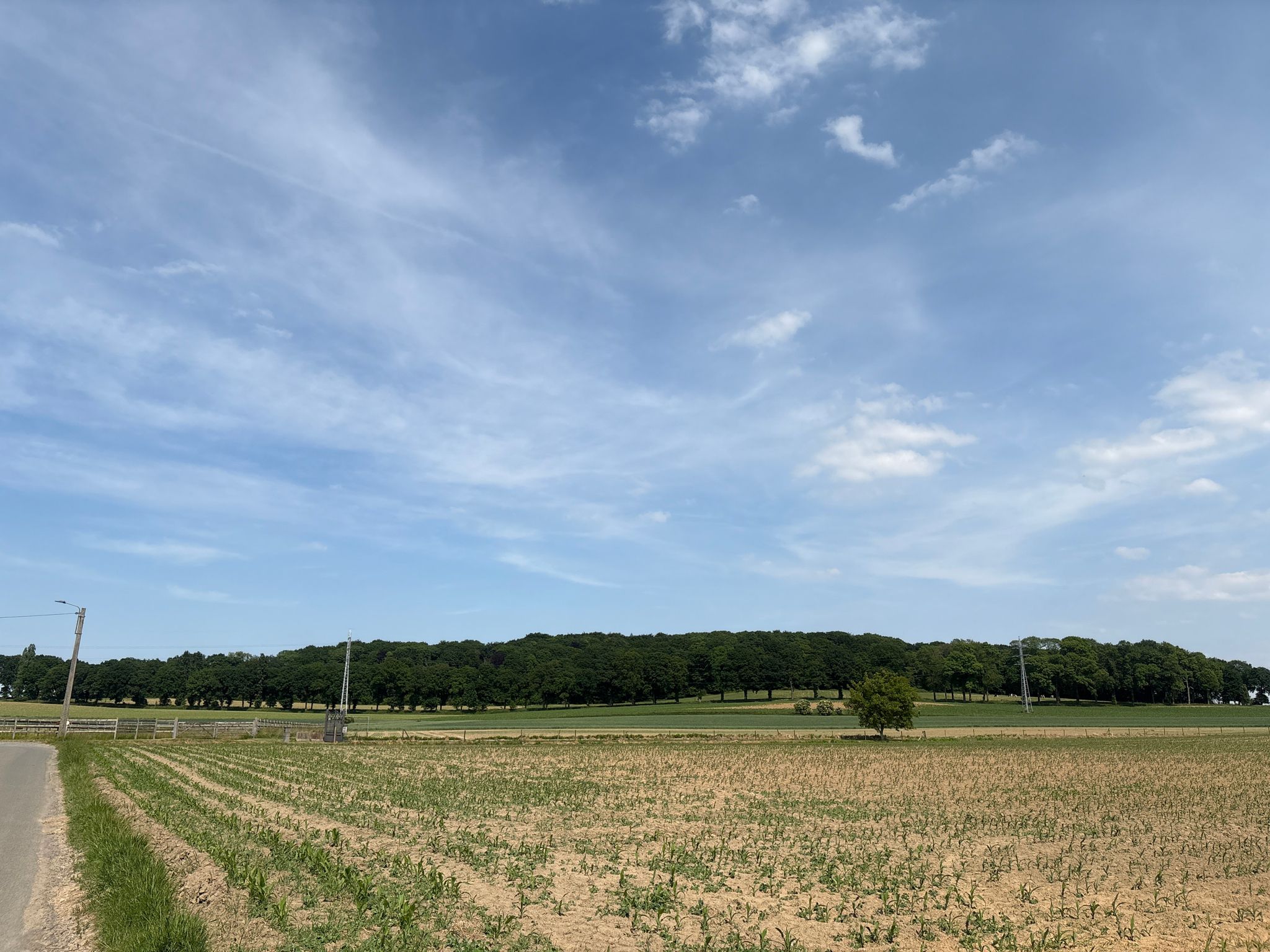 Hellekenlos