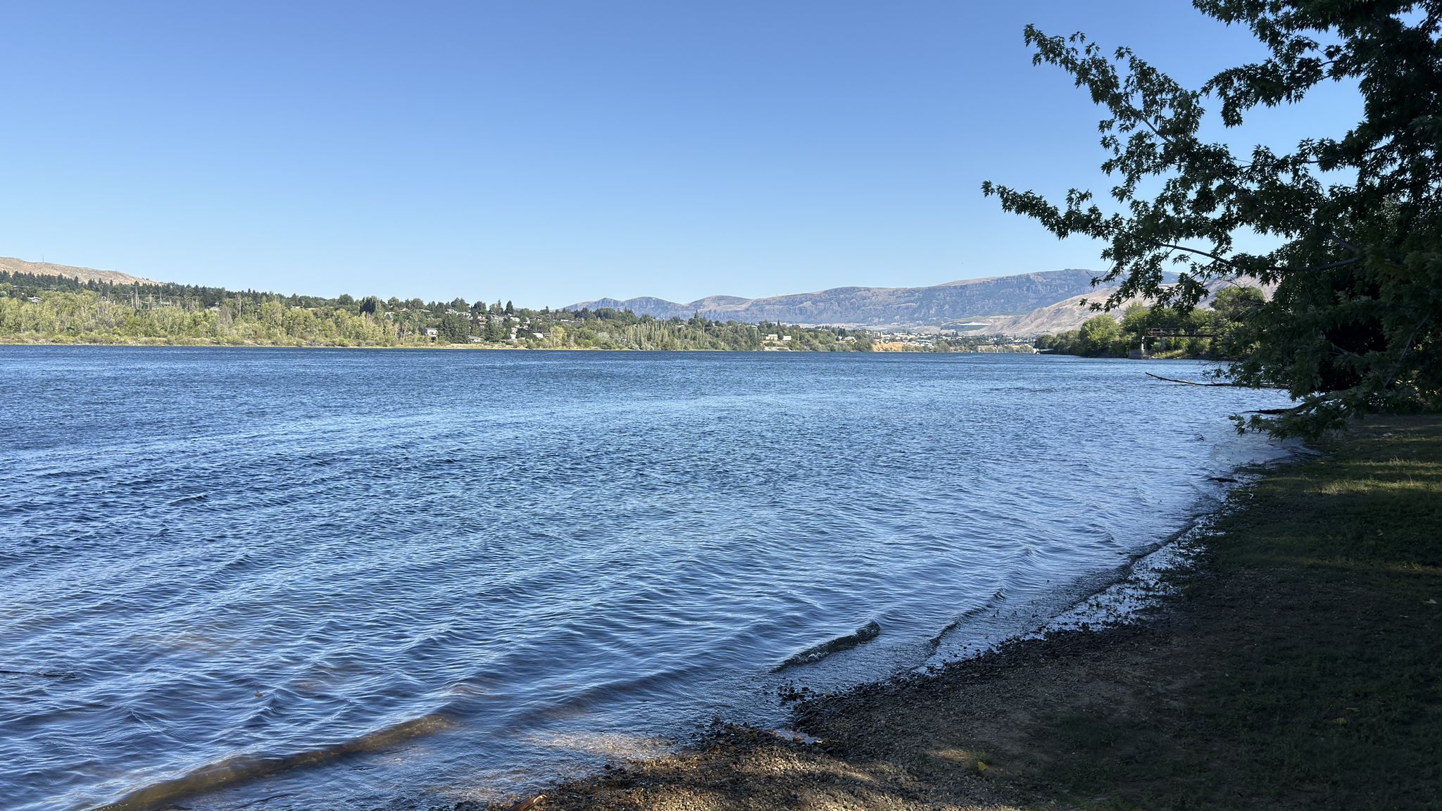 Calm lake water with a grassy shore, distant hills, bright sunlight. - Walla Walla Point Park – Old Monitor Road loop from Cashmere