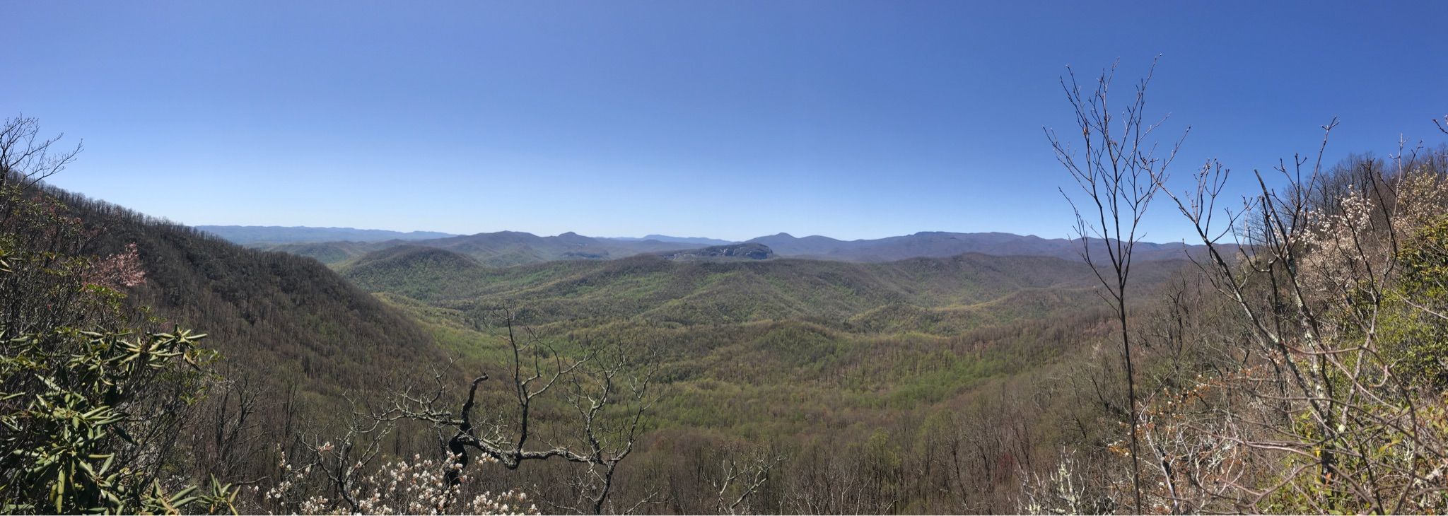Wide panorama of rolling green mountains and distant peaks under clear sky. - Squirrel Gap and Turkey Pen Gap Loop