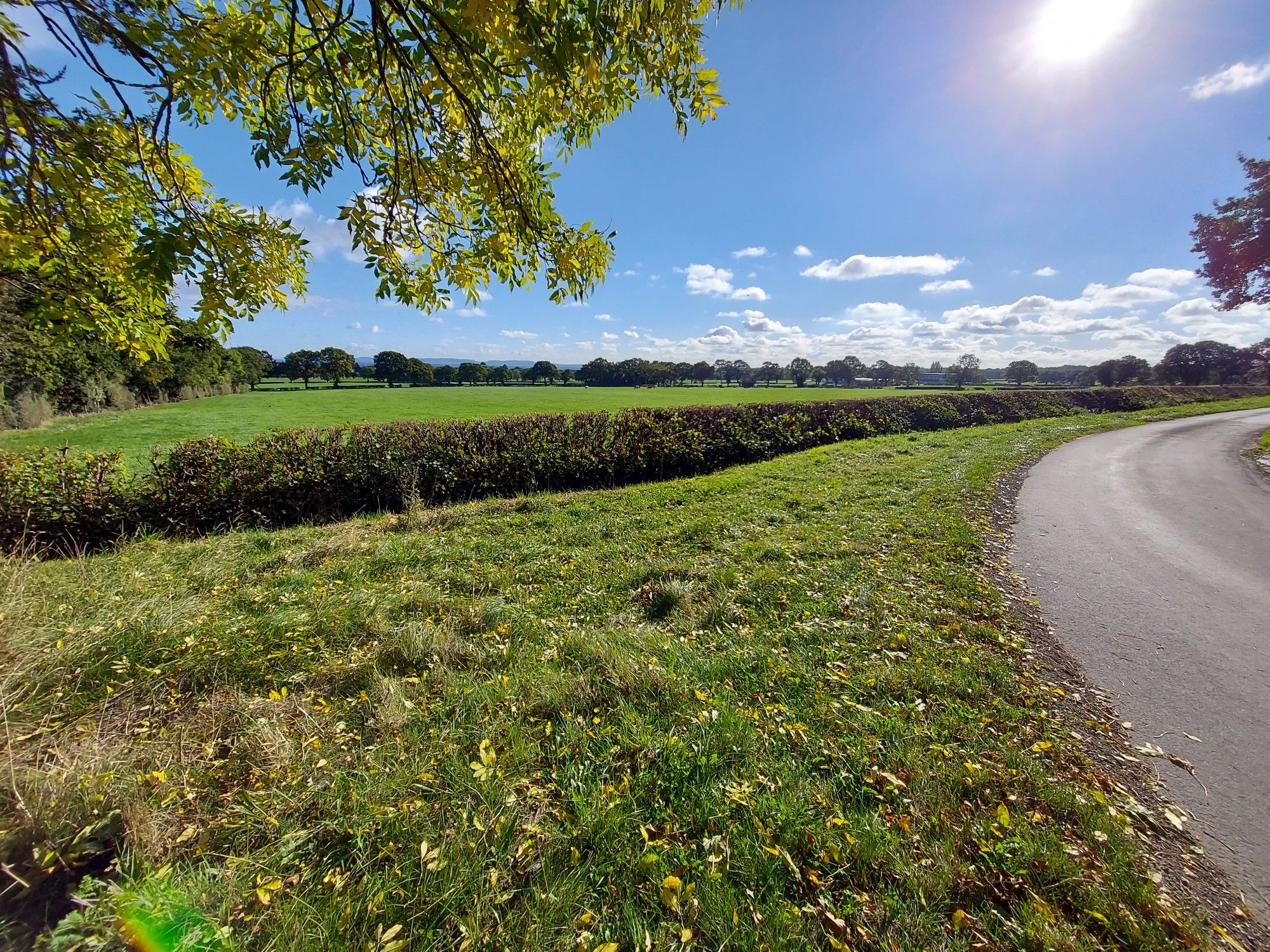 Shordley Lane