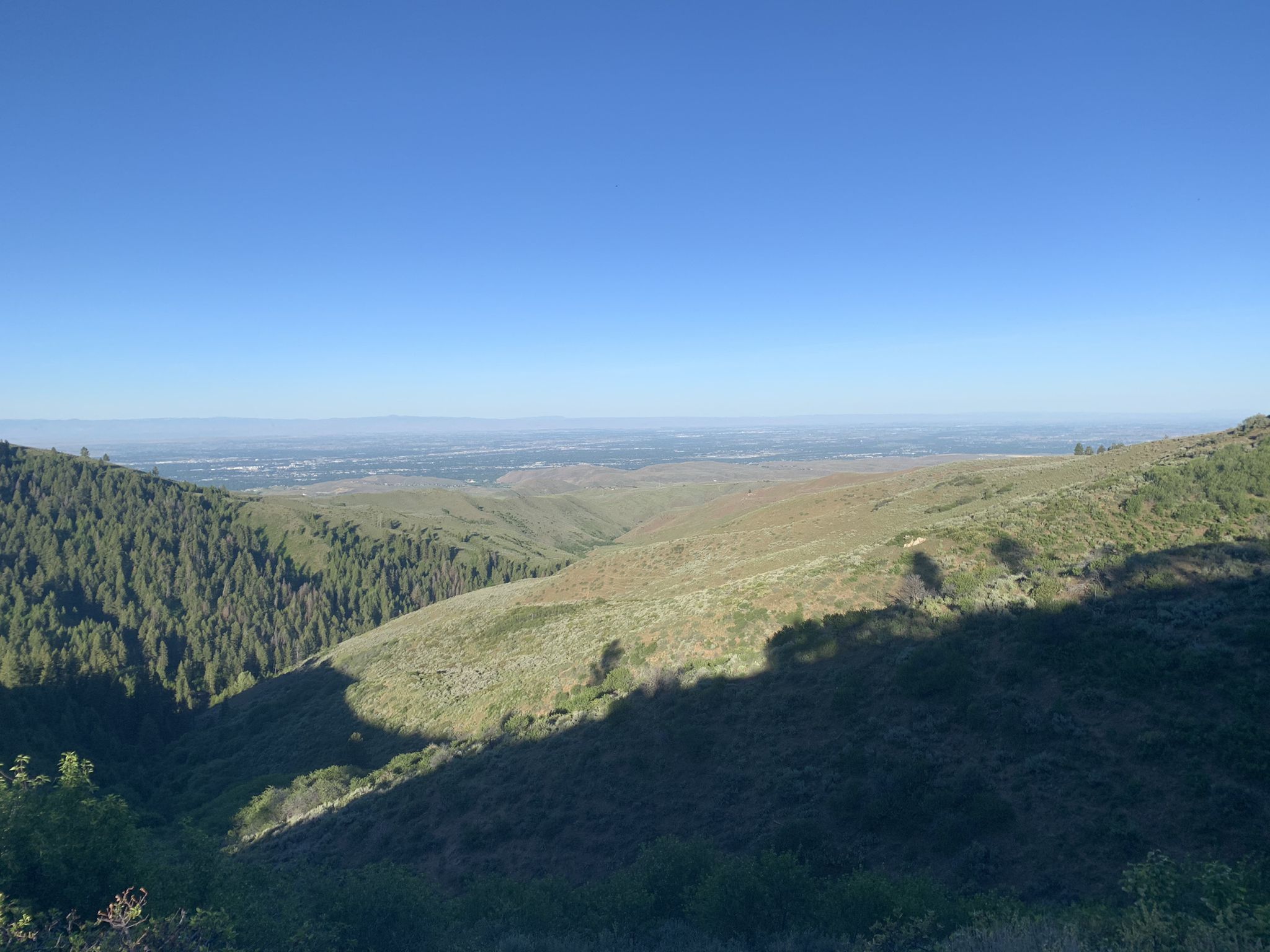 Expansive valley view with forested hills, distant city, and clear blue sky. - Shingle Creek and Dry Creek Loop Trail