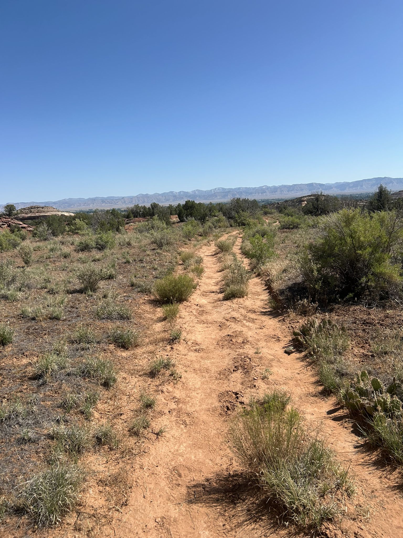 Dirt path through low desert brush, leading towards distant mountains on a clear day. - Flume Canyon Trail