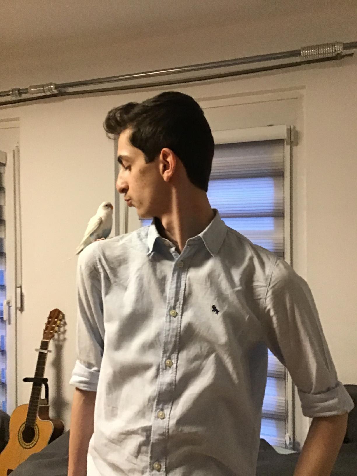 user avatar
