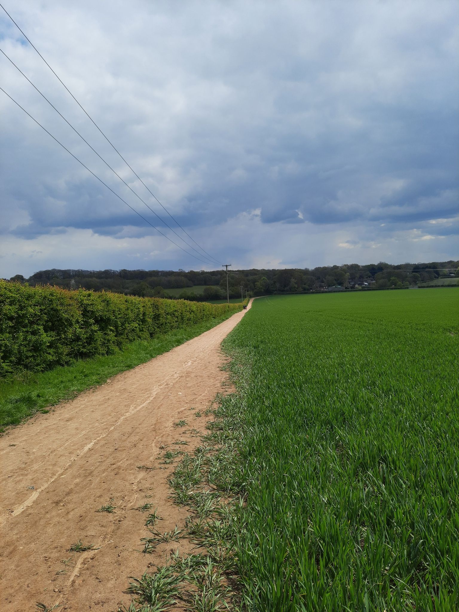 follow this route