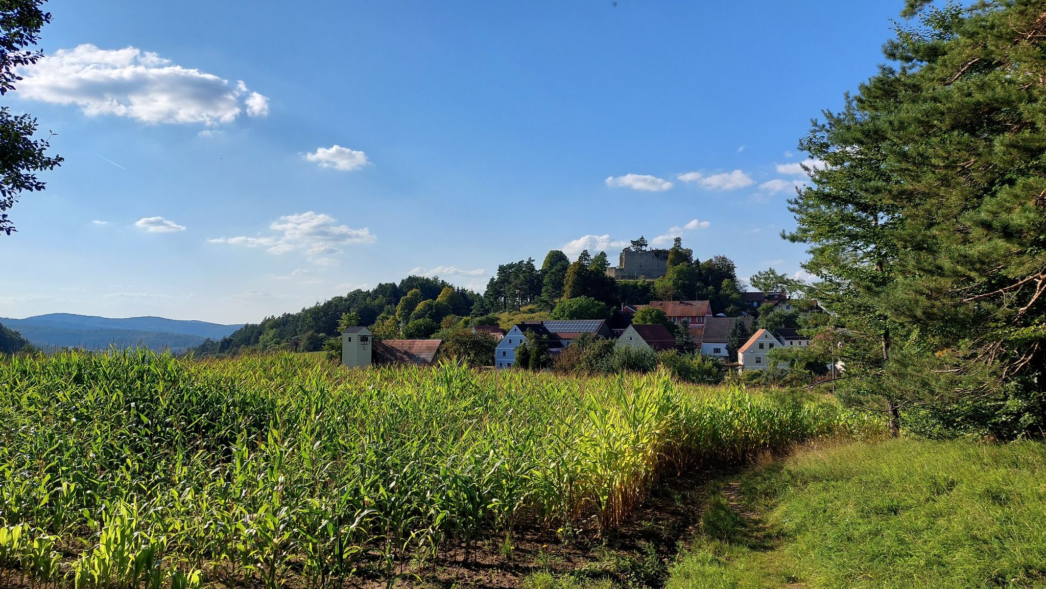 Blick nach Lichtenegg