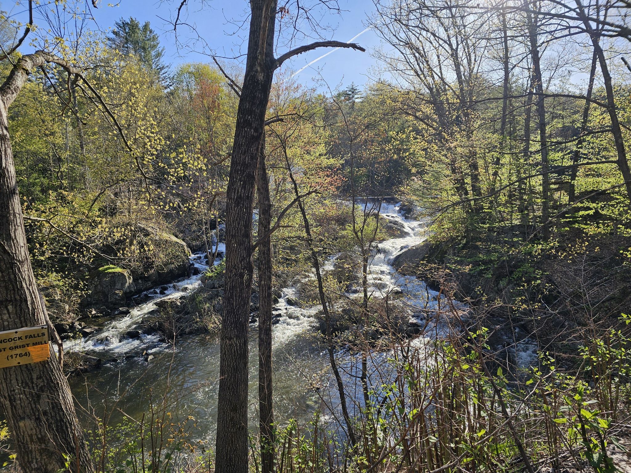Sunny view of a river with rapids flowing through a dense forest. - Bike loop from Stillhouse Forest