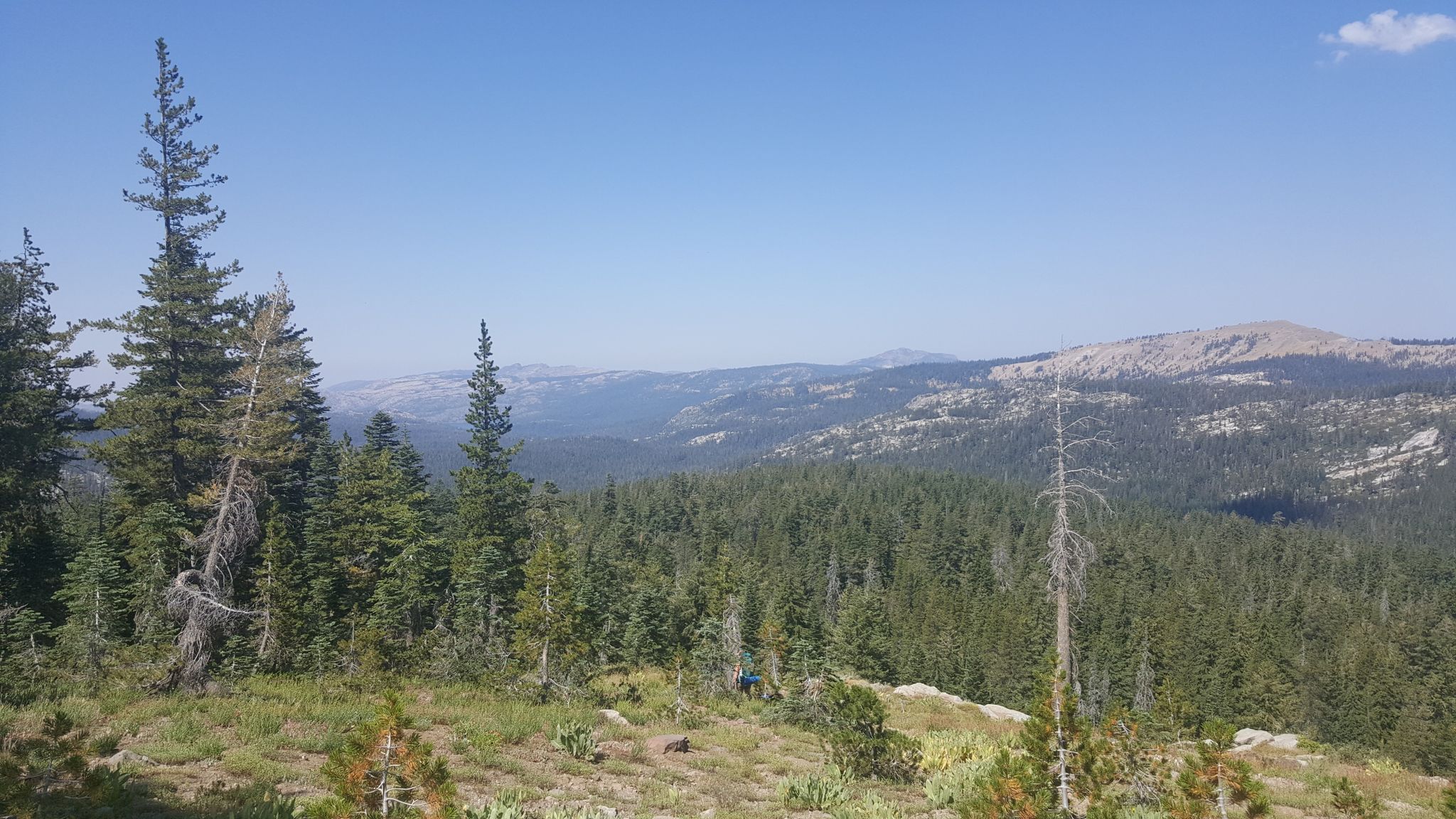 Expansive mountain vista with dense pine forests under a bright, clear sky. - White Rock Lake via Pacific Crest Trail