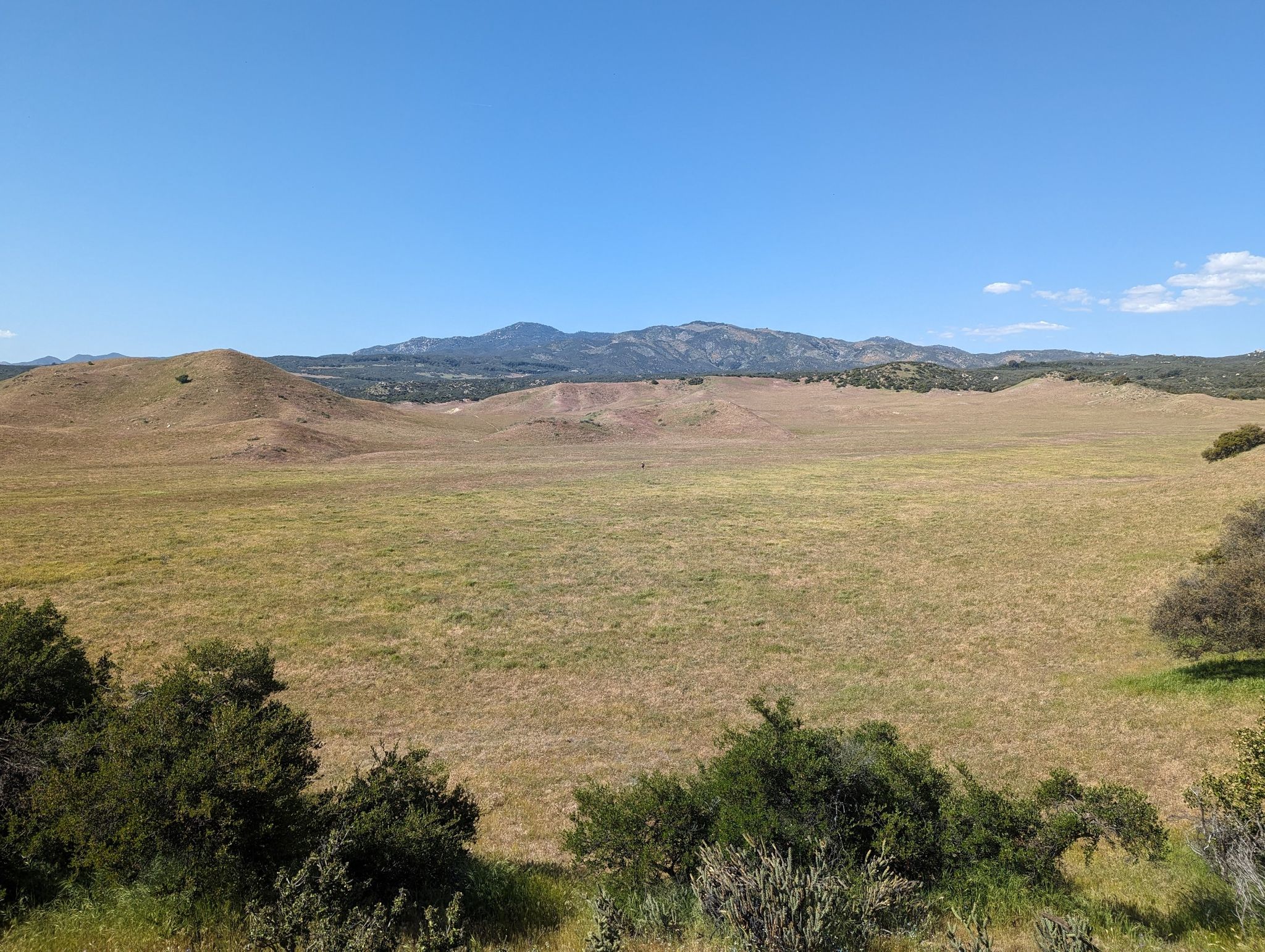 Expansive golden grassy field with distant mountains under a clear blue sky. - Eagle Rock via Pacific Crest Trail