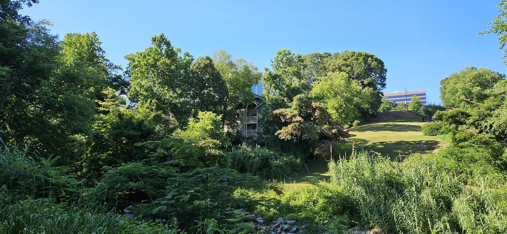 Lush green hillside covered in trees and vegetation under a bright blue sky. - Chattahoochee River View – Chattahoochee River View loop from Chattahoochee Plantation