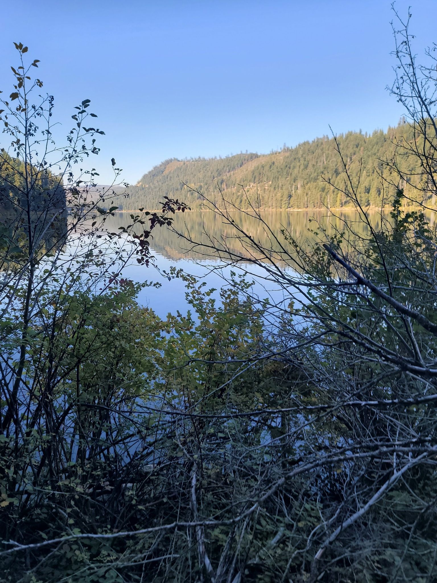 Serene lake and forested hills seen through foreground branches on a clear day. - Suttle Lake Loop Trail