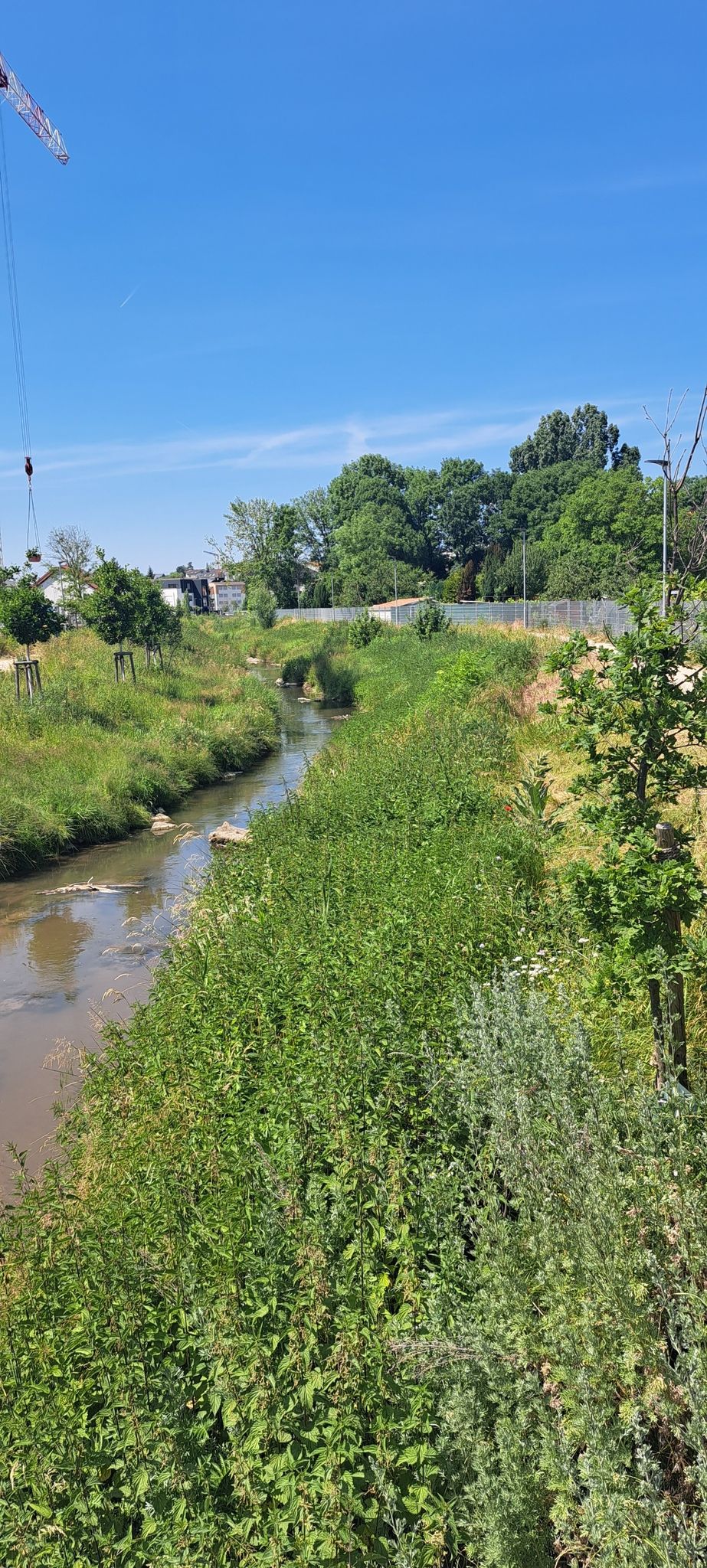 angelbach in Wiesloch