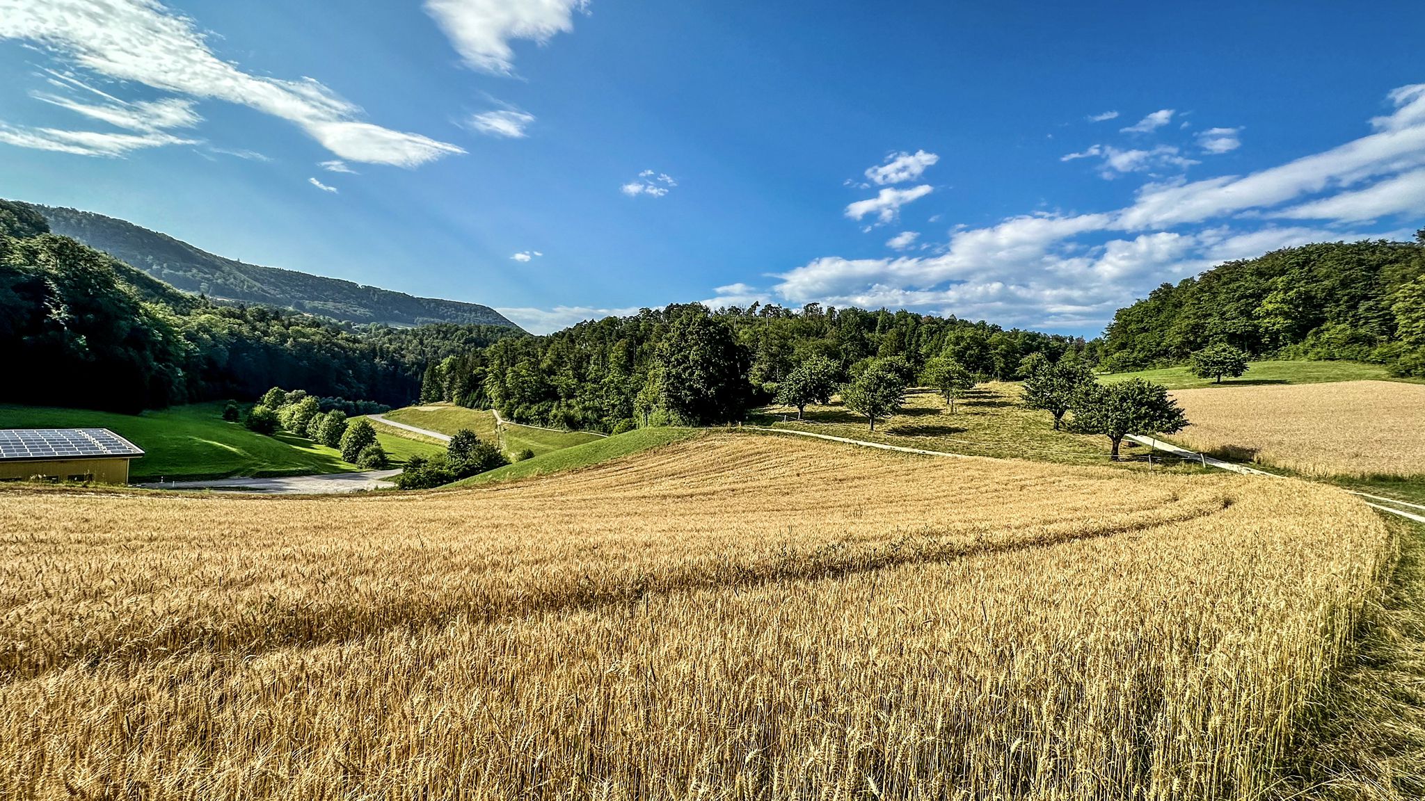 ...vom linken Trail kommend ein kleiner Rückblick...