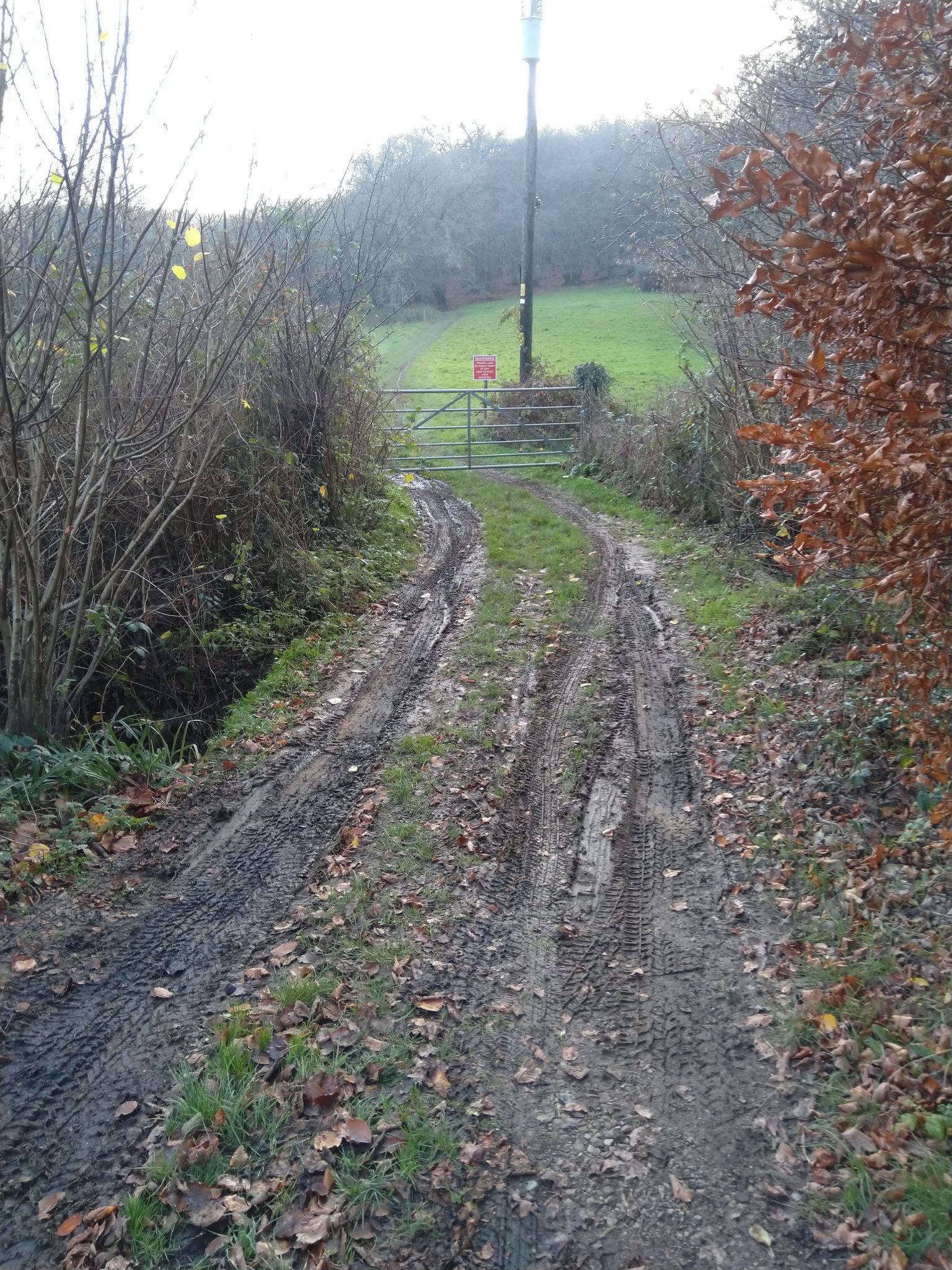 Start of muddy track