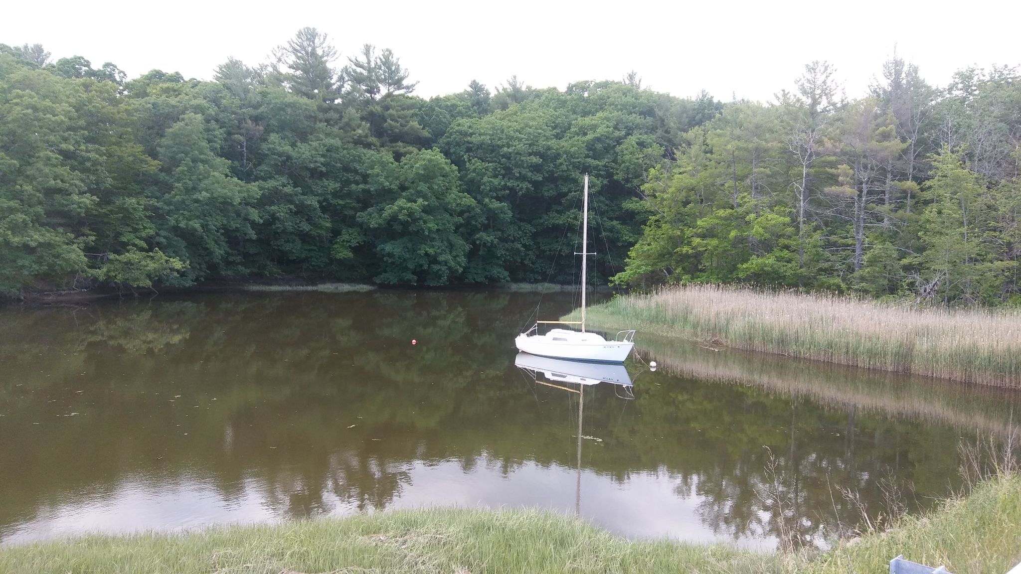 White sailboat anchored in a calm, tree-lined inlet with reeds. - East Coast Greenway via Cider Hill Road loop