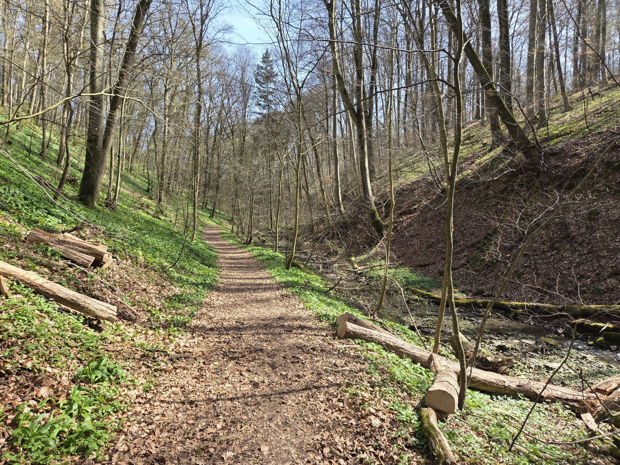 Weg am Kreuzbach