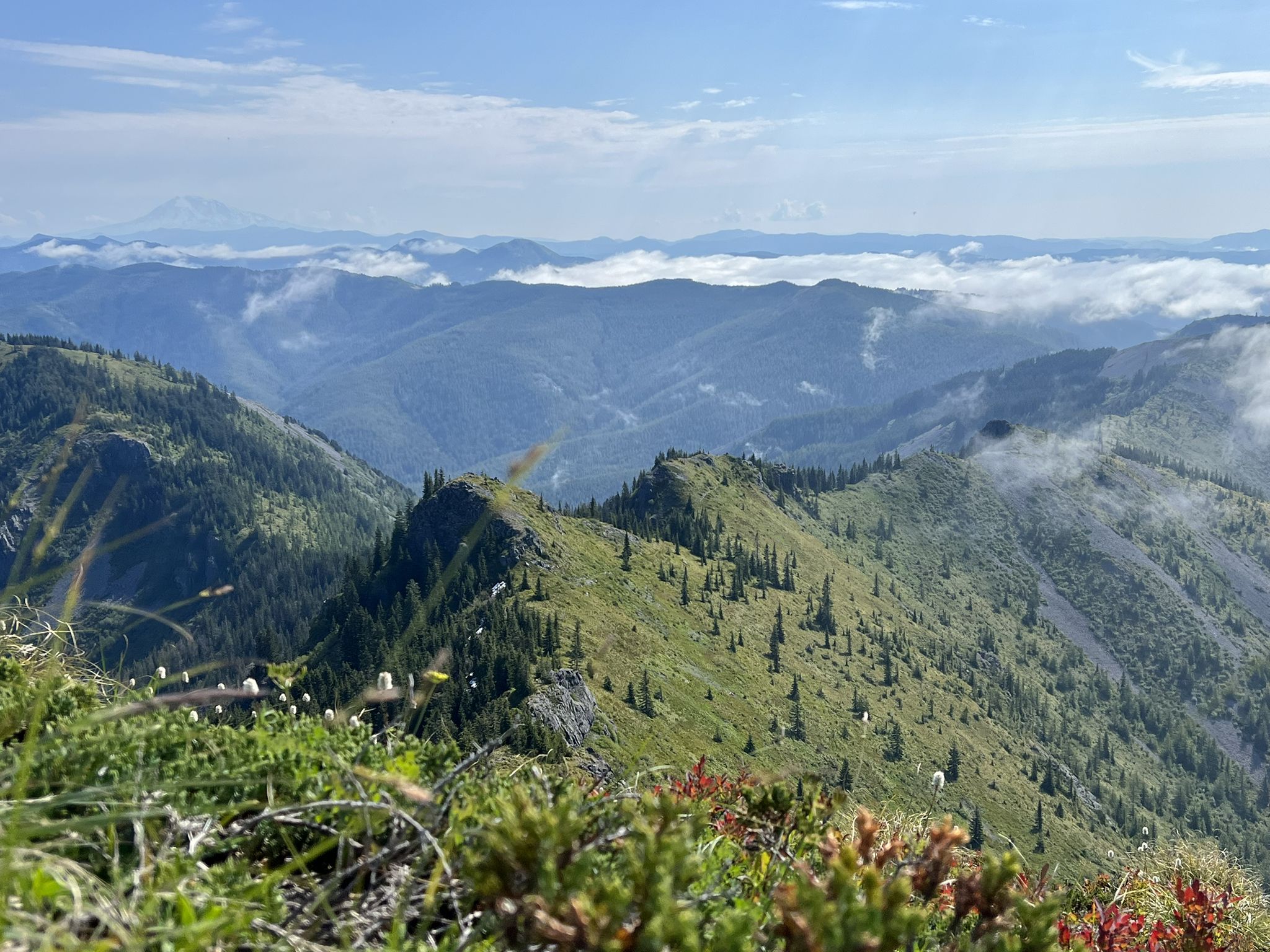 Sunny view of green mountain ridges with clouds filling distant valleys. - Hidden Falls – Silver Star Mountain loop from Yacolt Burn Trailhead