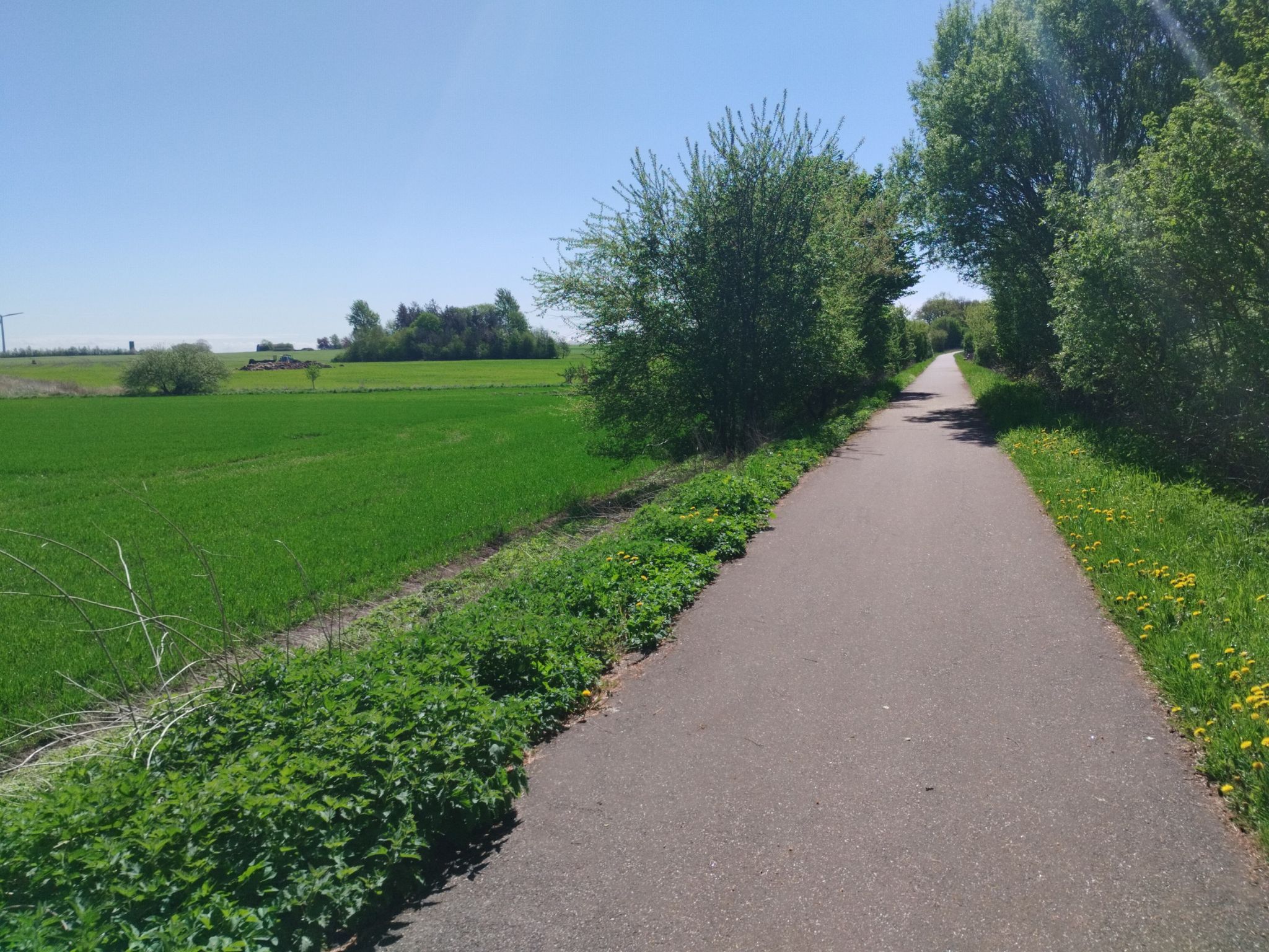 schöner Bahntrassenradweg 