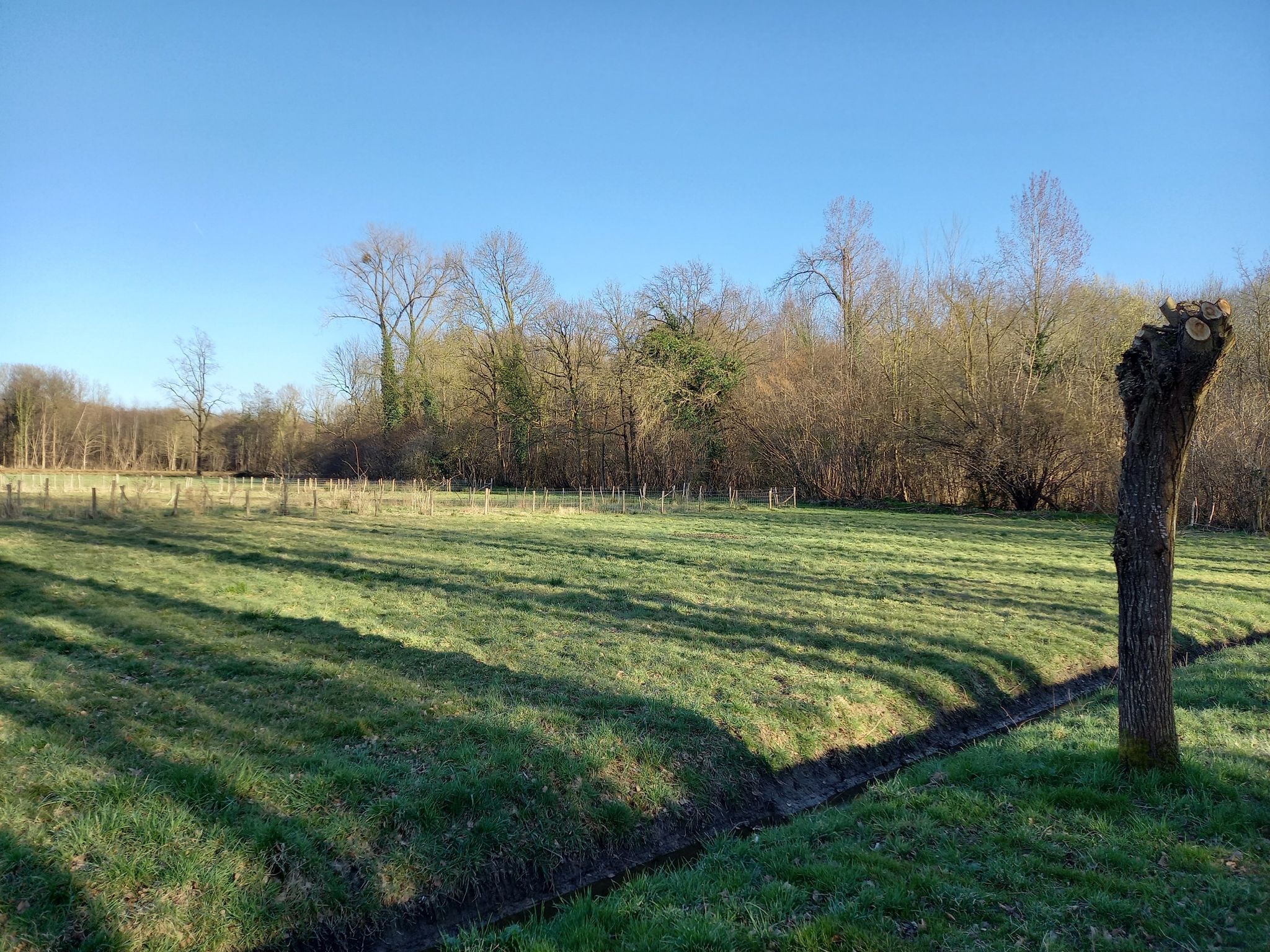 terugblik op het Kastanjebos