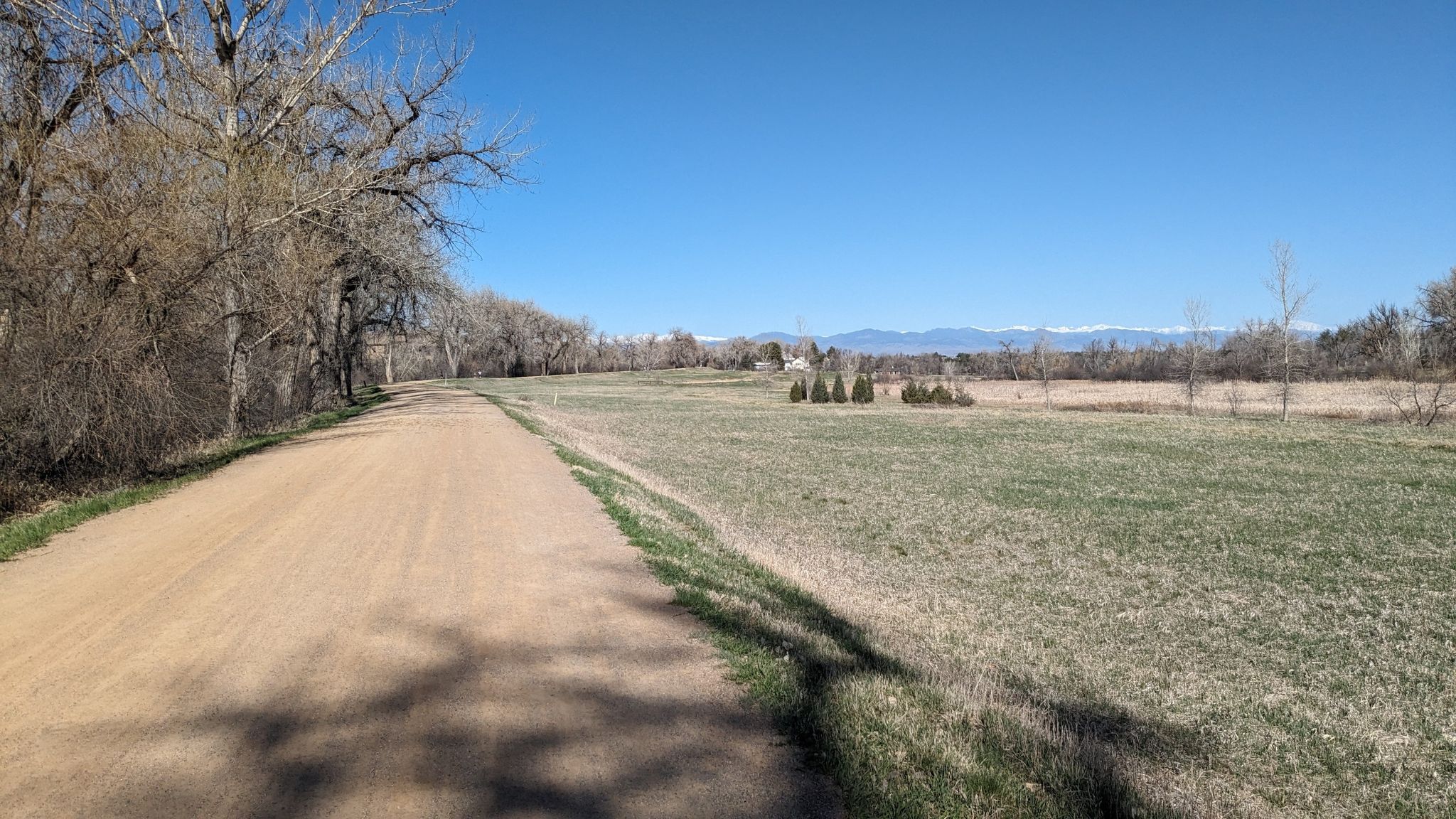 Dirt road alongside a field and bare trees under a clear blue sky. - Hiking loop from Greenwood Village