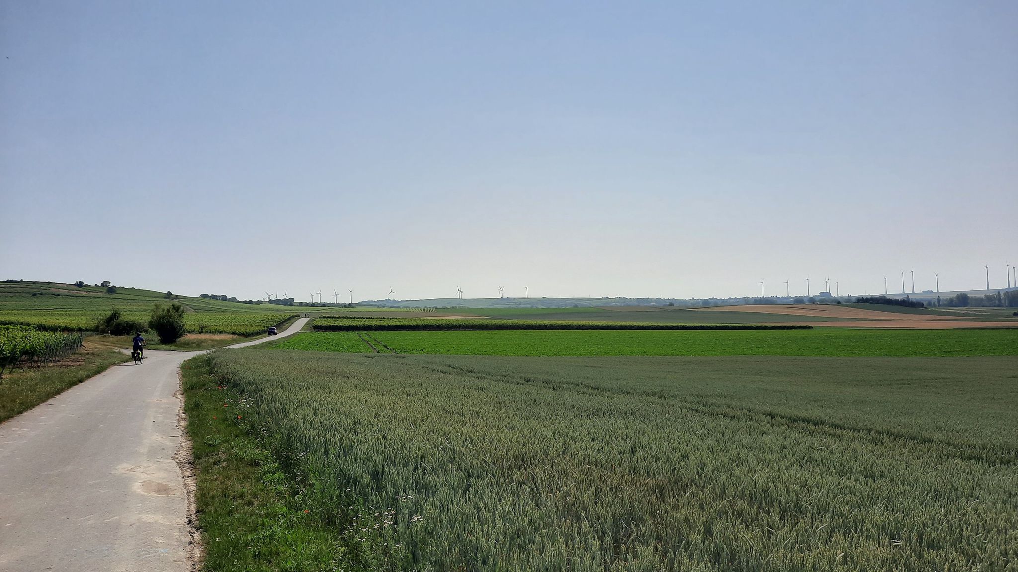 Zwischen Dolgesheim und Hillesheim