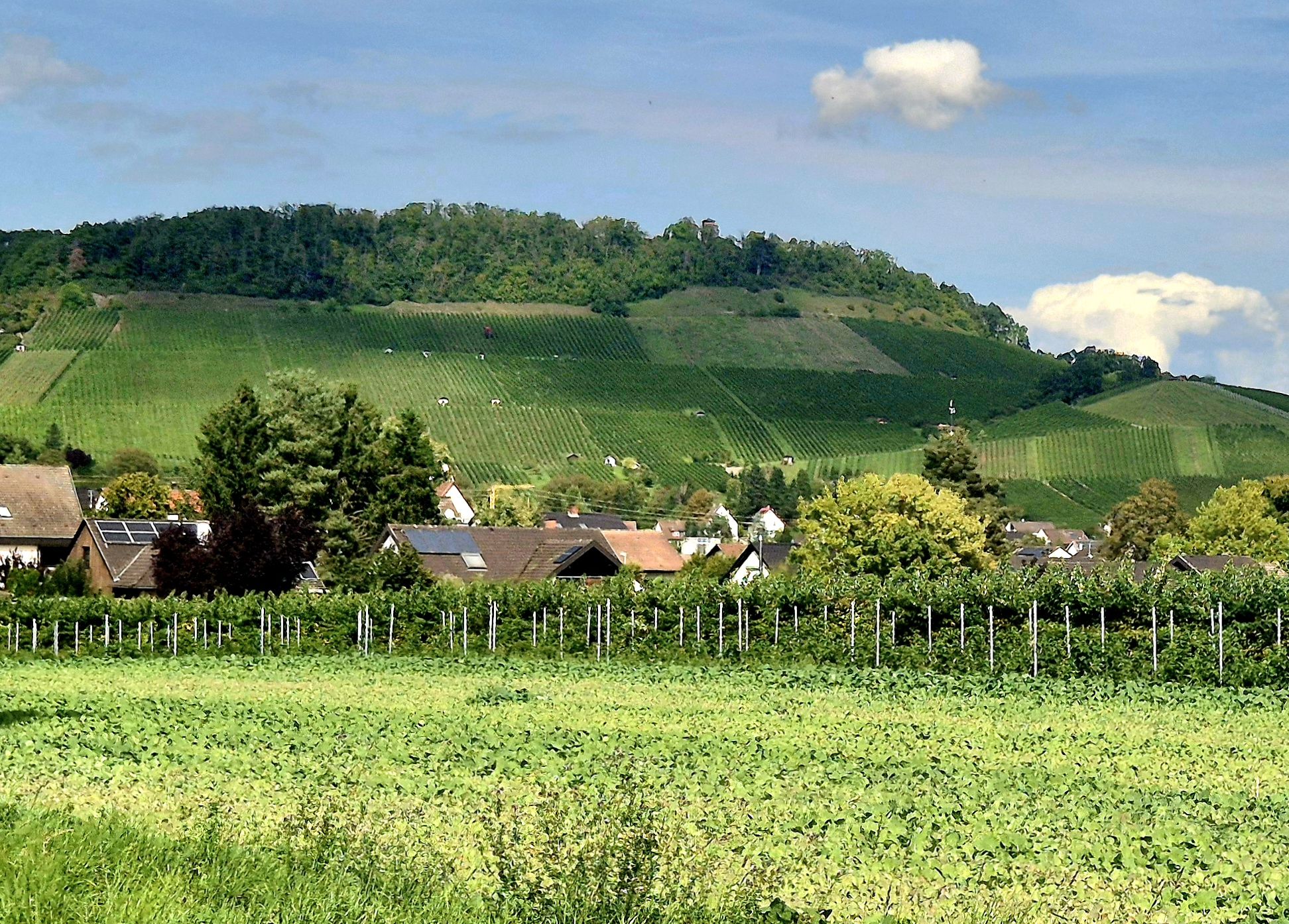 dort oben 13 Uhr die Eselsburg