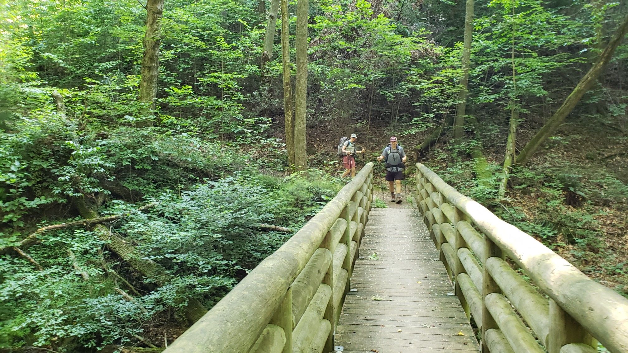 Two hikers walk across a wooden bridge in a lush green forest. - Appalachian Trail: Long Mountain Wayside to Little Irish Creek