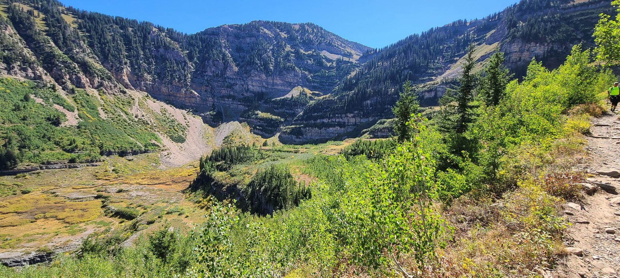A lush mountain valley with a winding path under bright daylight. - Timpooneke Trail
