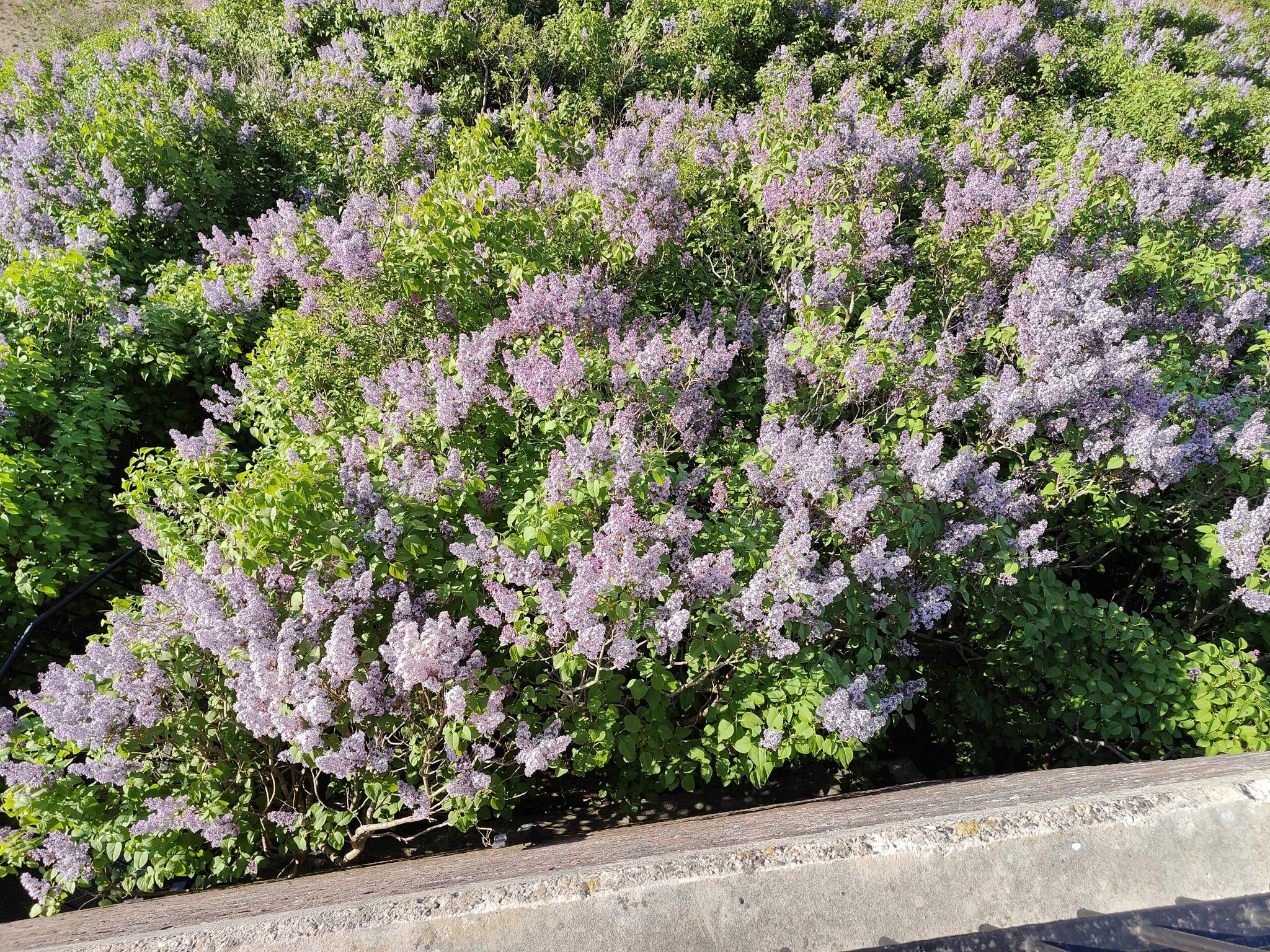 1964d5b6589?width=3072&height=2304&crop=false&q=70