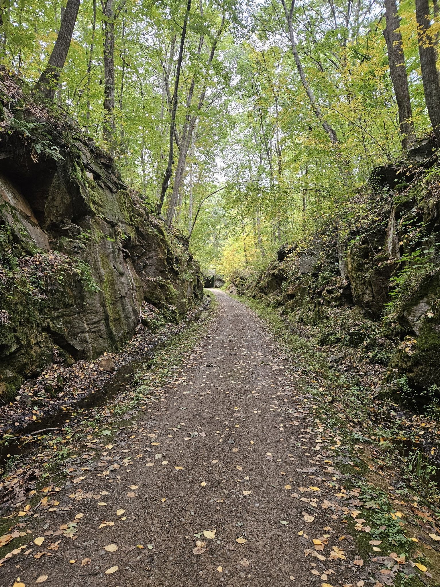 A narrow path through a rock cut, surrounded by green and yellow autumn trees. - Mass Central Rail Trail – Thayer Pond WMA loop from Conservation Land