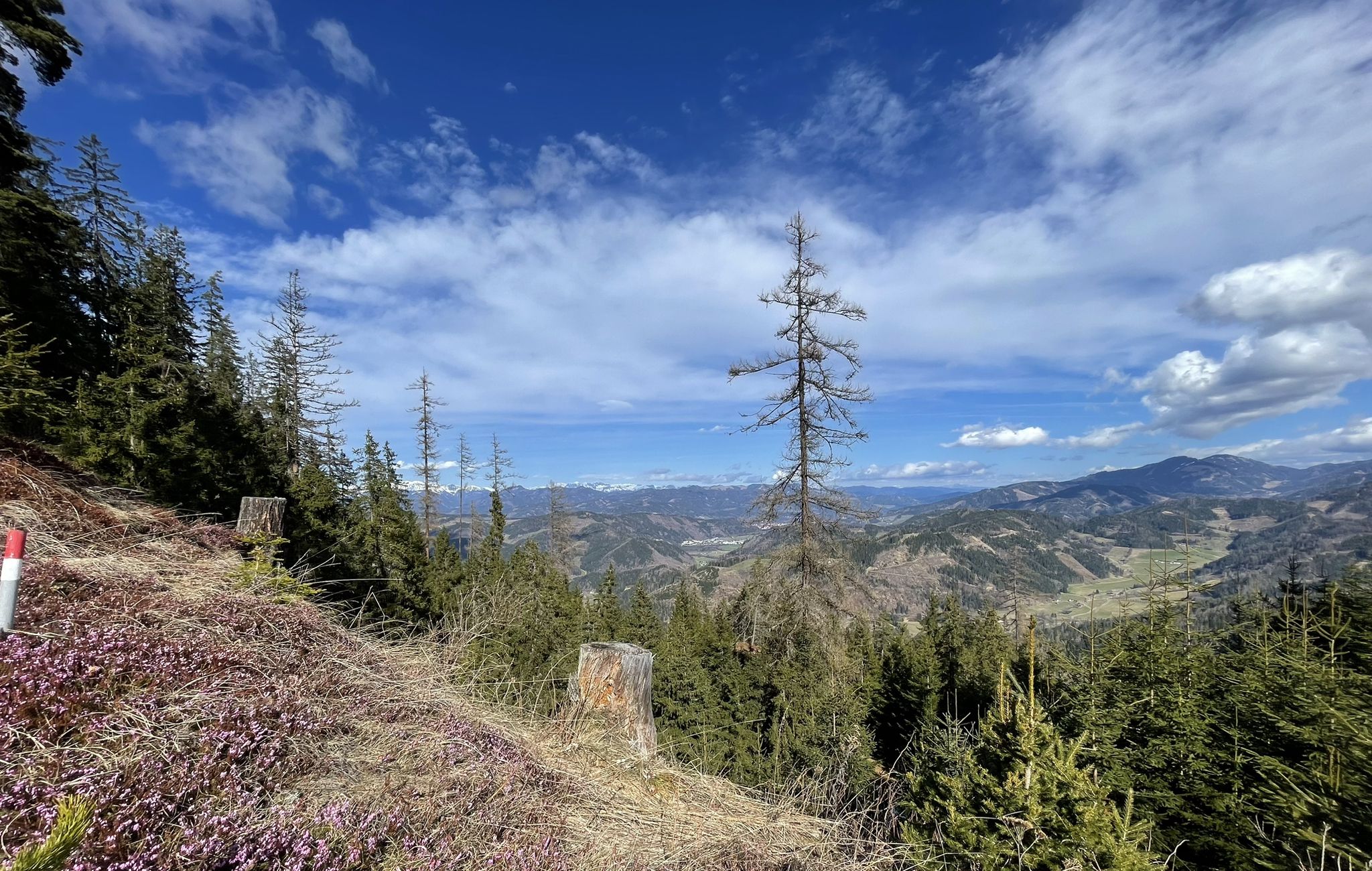 Blick zum Hochschwabgebiet und Leoben
