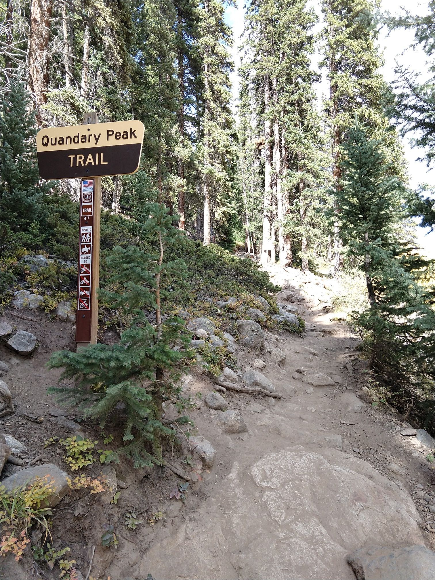 A trail sign in a dense forest with a dirt path. - McCullough Gulch Road