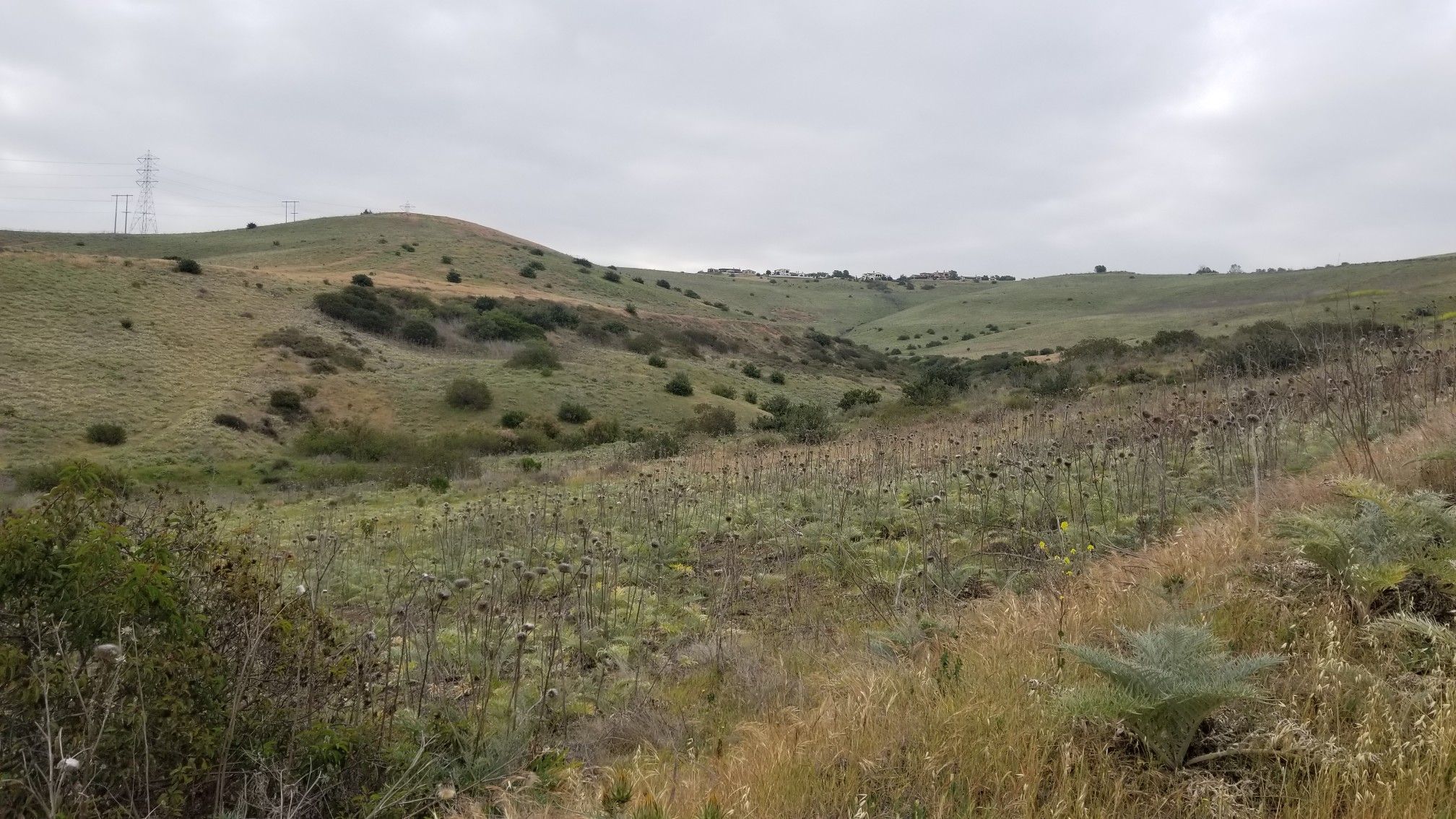 Rolling hills covered in dry grass and shrubs under an overcast sky. - Lusardi Creek Loop Trail