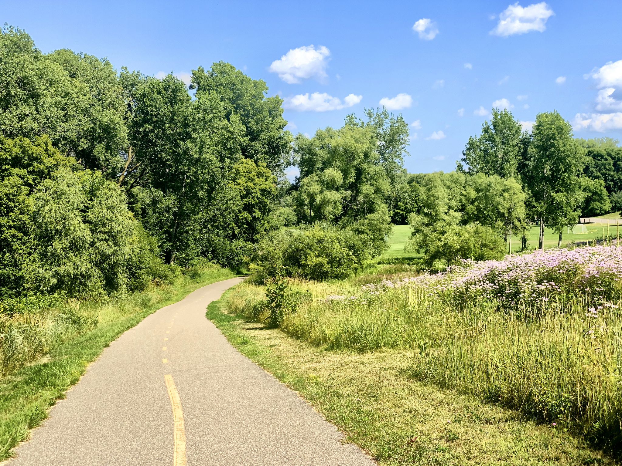 Paved path curving through green trees and a field of purple wildflowers. - Nine Mile Creek Regional Trail – Lake Locklear loop from Edina Villa Apartments