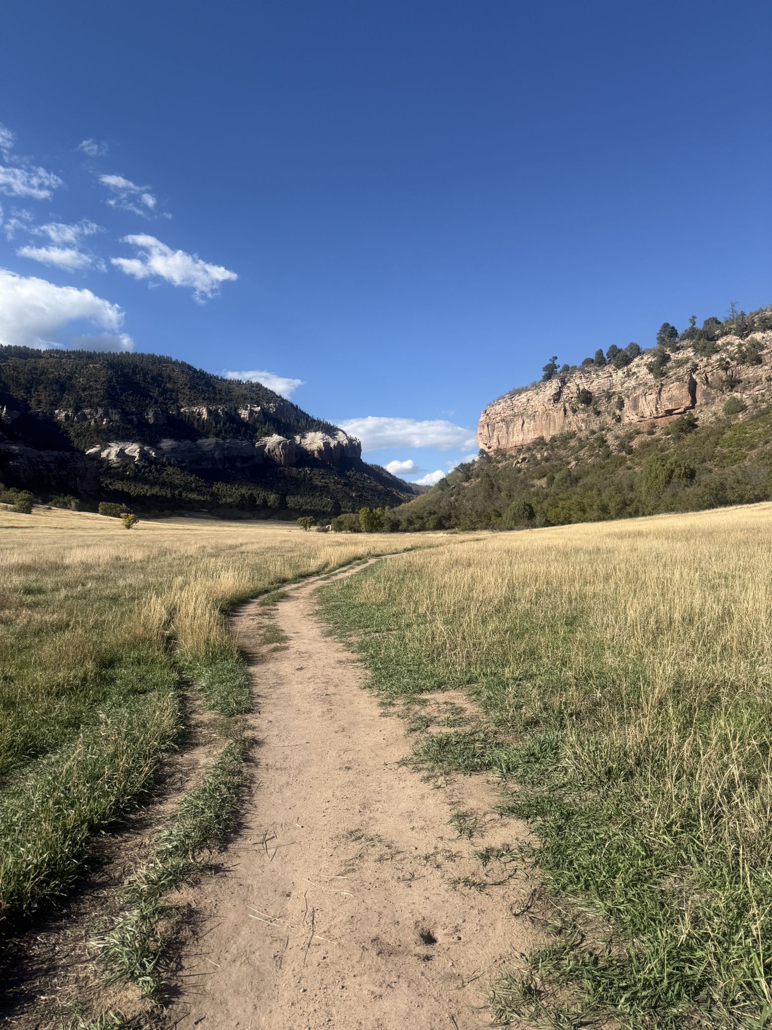 Dirt path through golden field towards mountains under bright blue sky. - Church Camp Trail to Schroeder Tunnel Mine