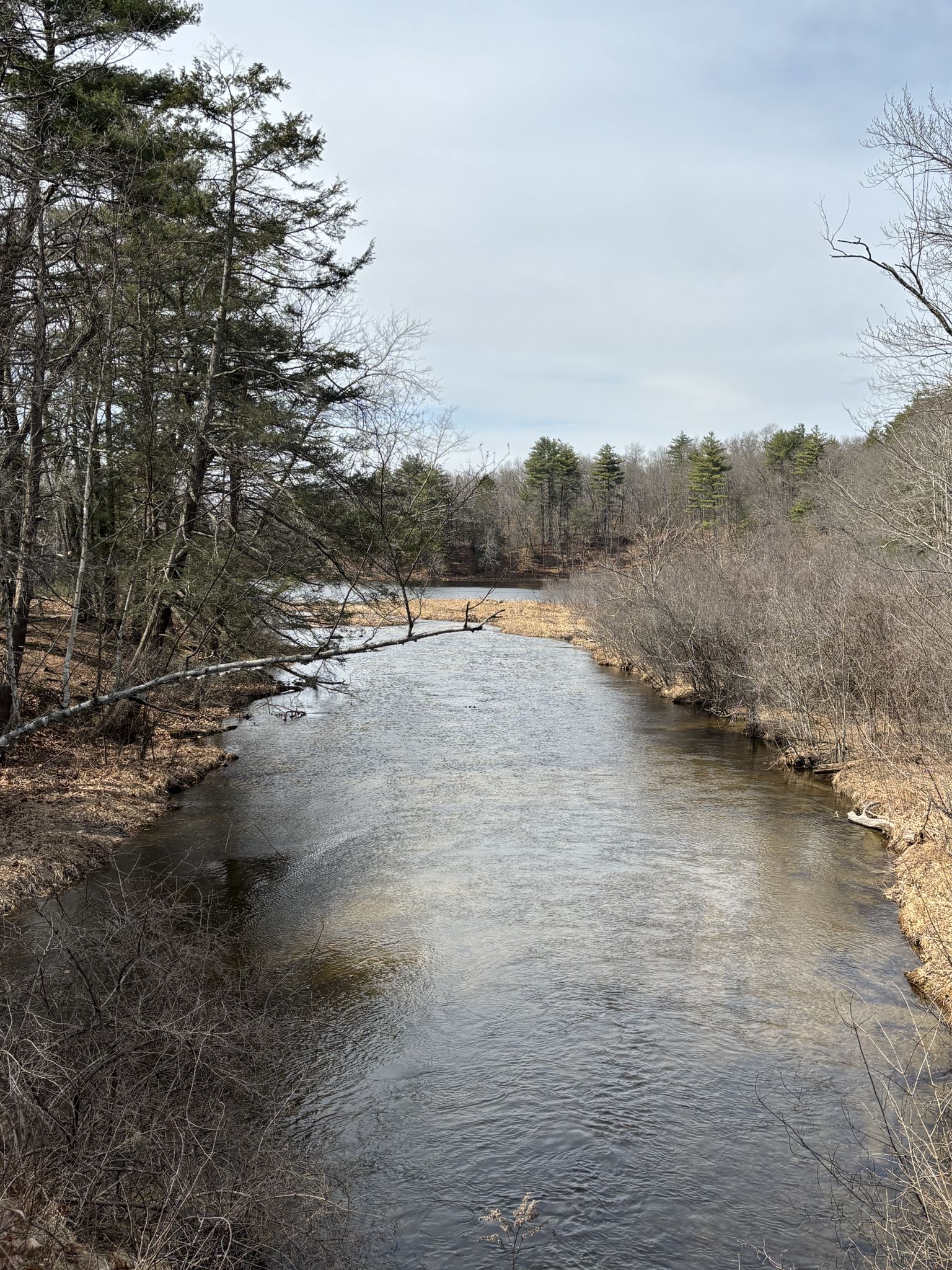A winding river flows through a bare forest under a bright sky. - Puffers Pond – Atkins Reservoir loop from North Amherst