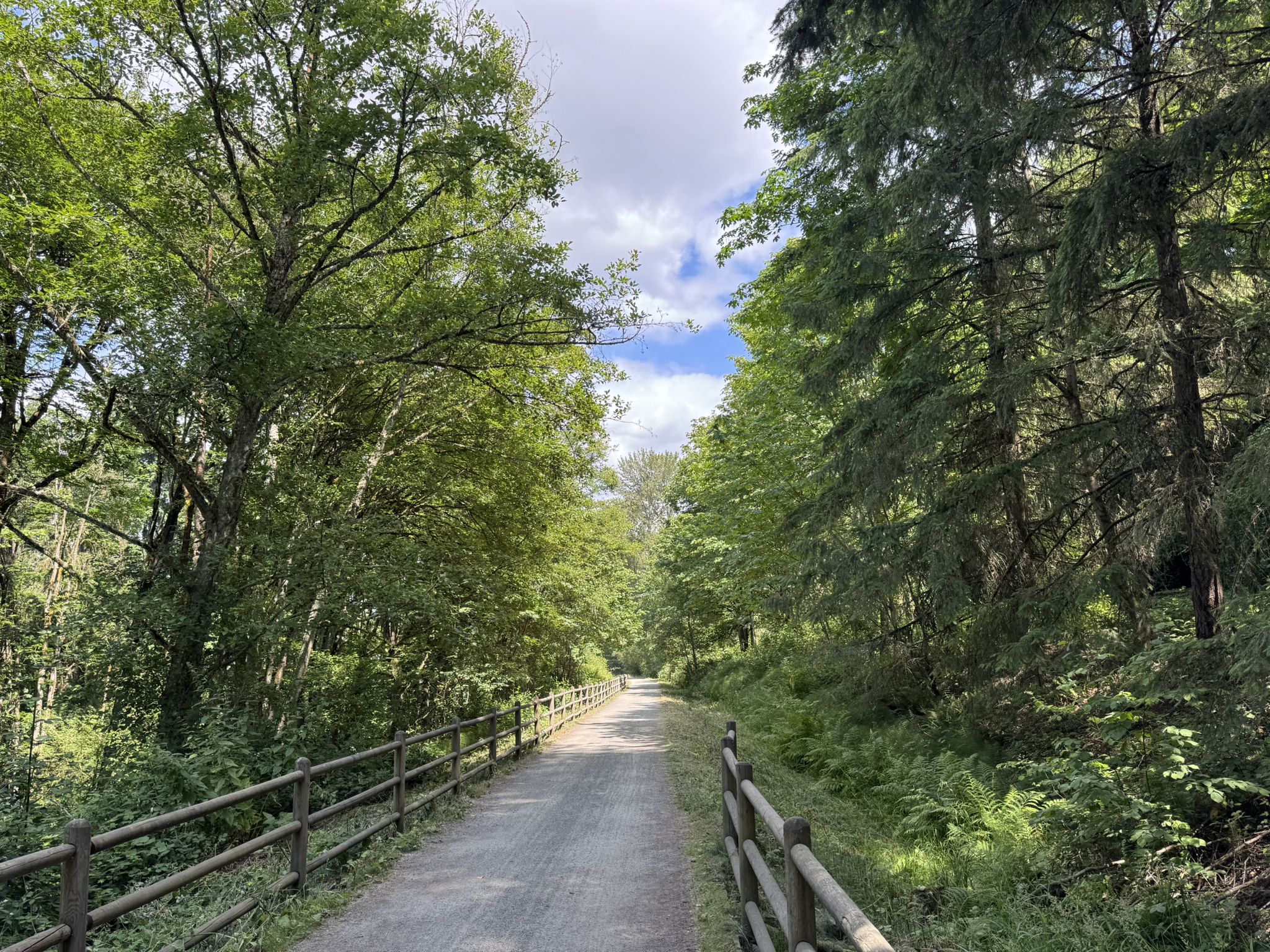 A gravel path through a lush green forest with a wooden fence. - Cross Kirkland Corridor – Cross Kirkland Corridor loop from Kirkland