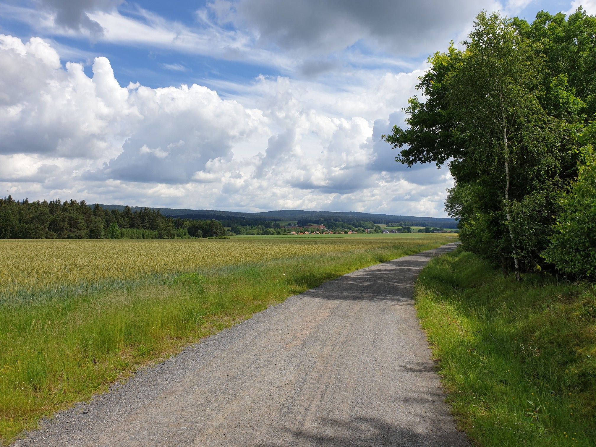 Blick auf Wondreb