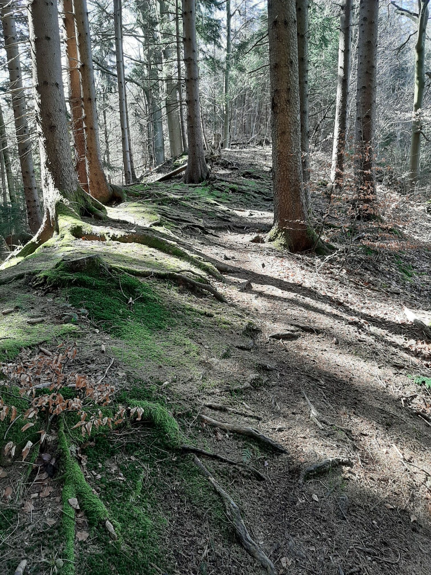 wurzelpassage