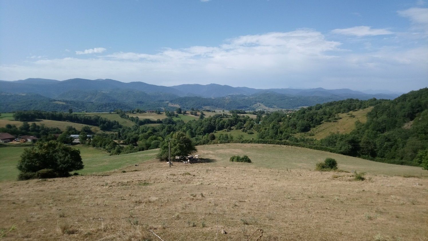 view Suzan