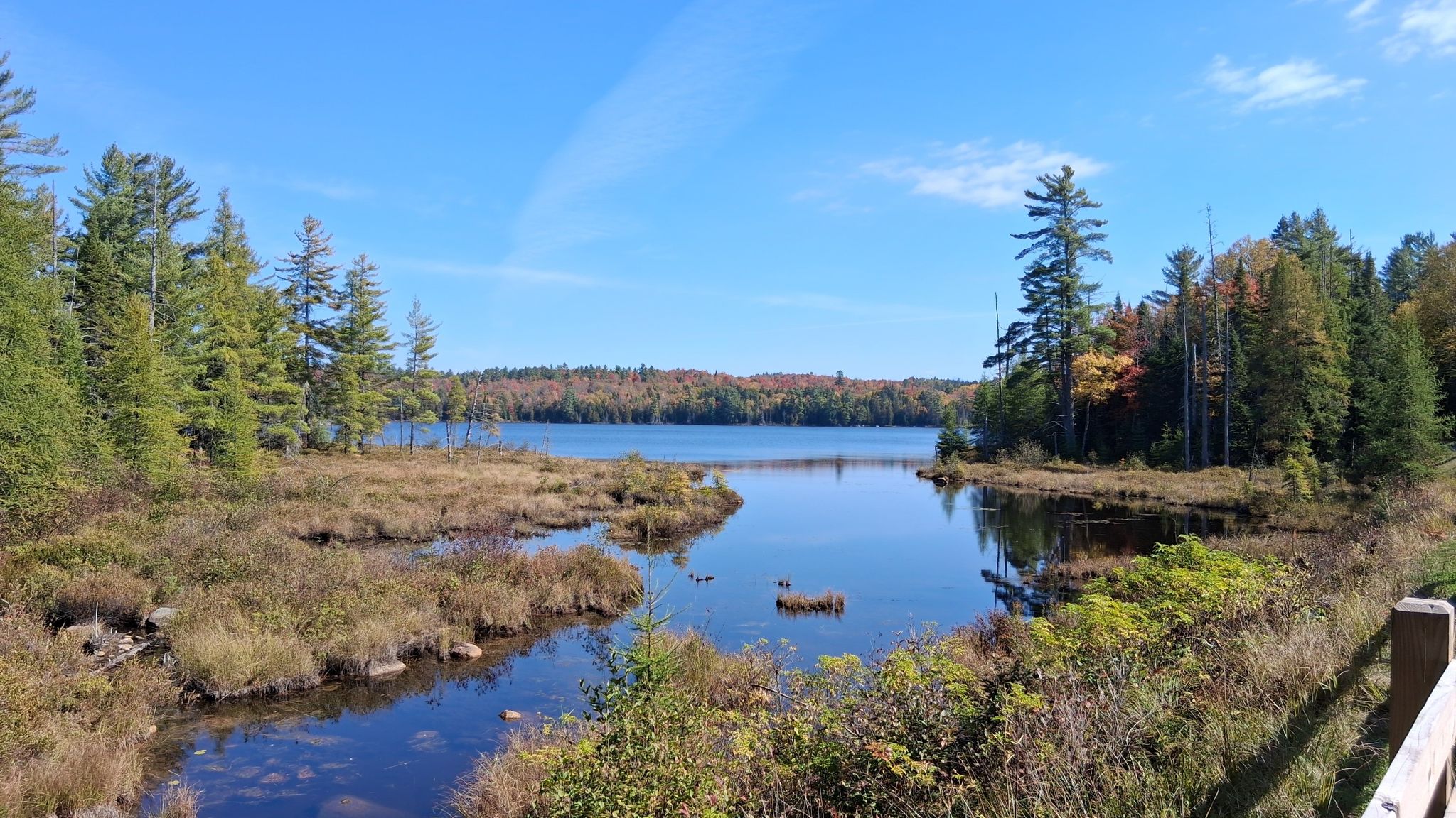 Sunny view of a calm lake surrounded by marshland and dense forest. - Lake Flower – Colby Lake Bridge loop from Lake Clear