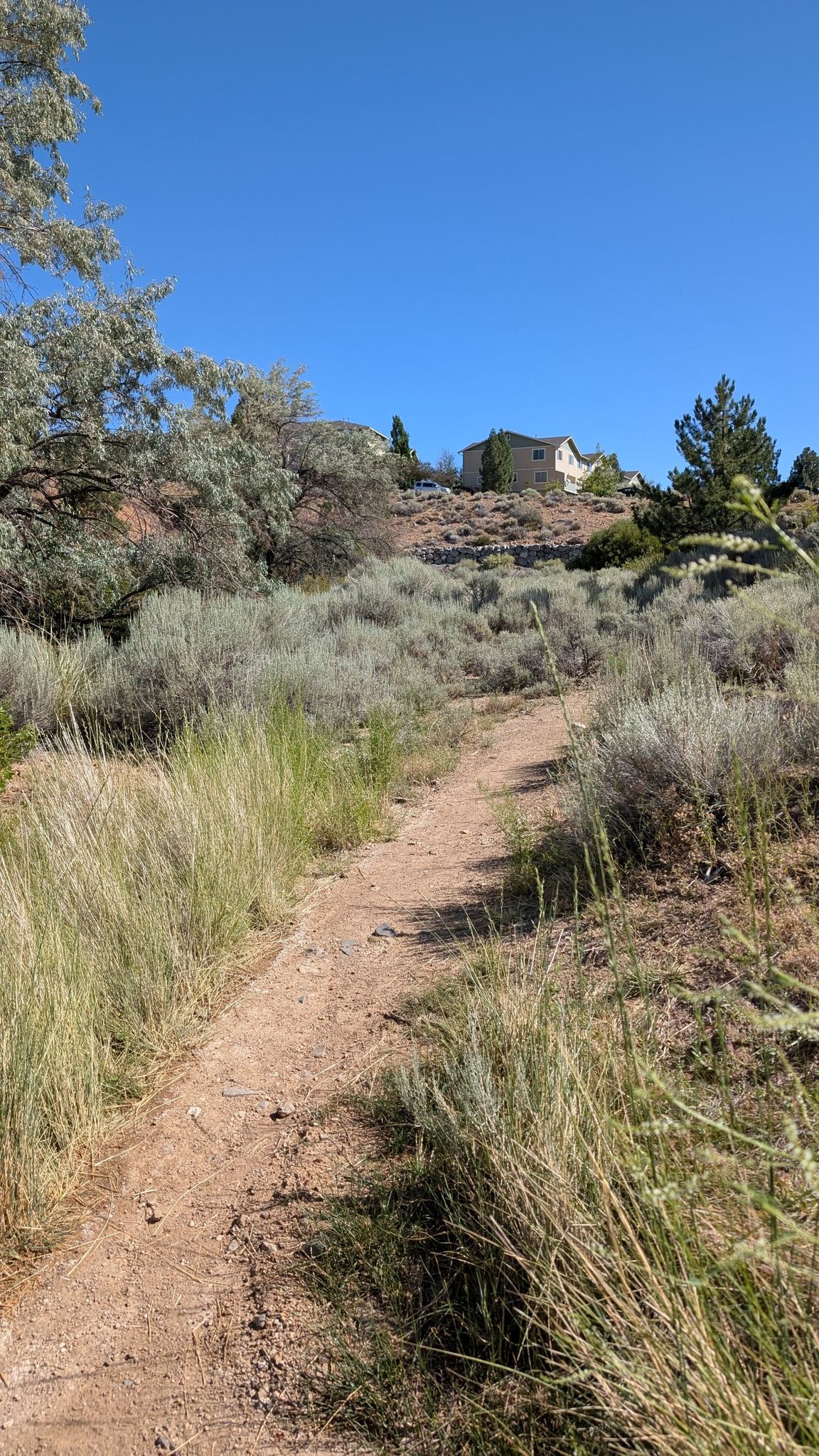 A narrow dirt trail ascends a grassy hill towards a distant house. - Keystone and Evans Canyon Loop