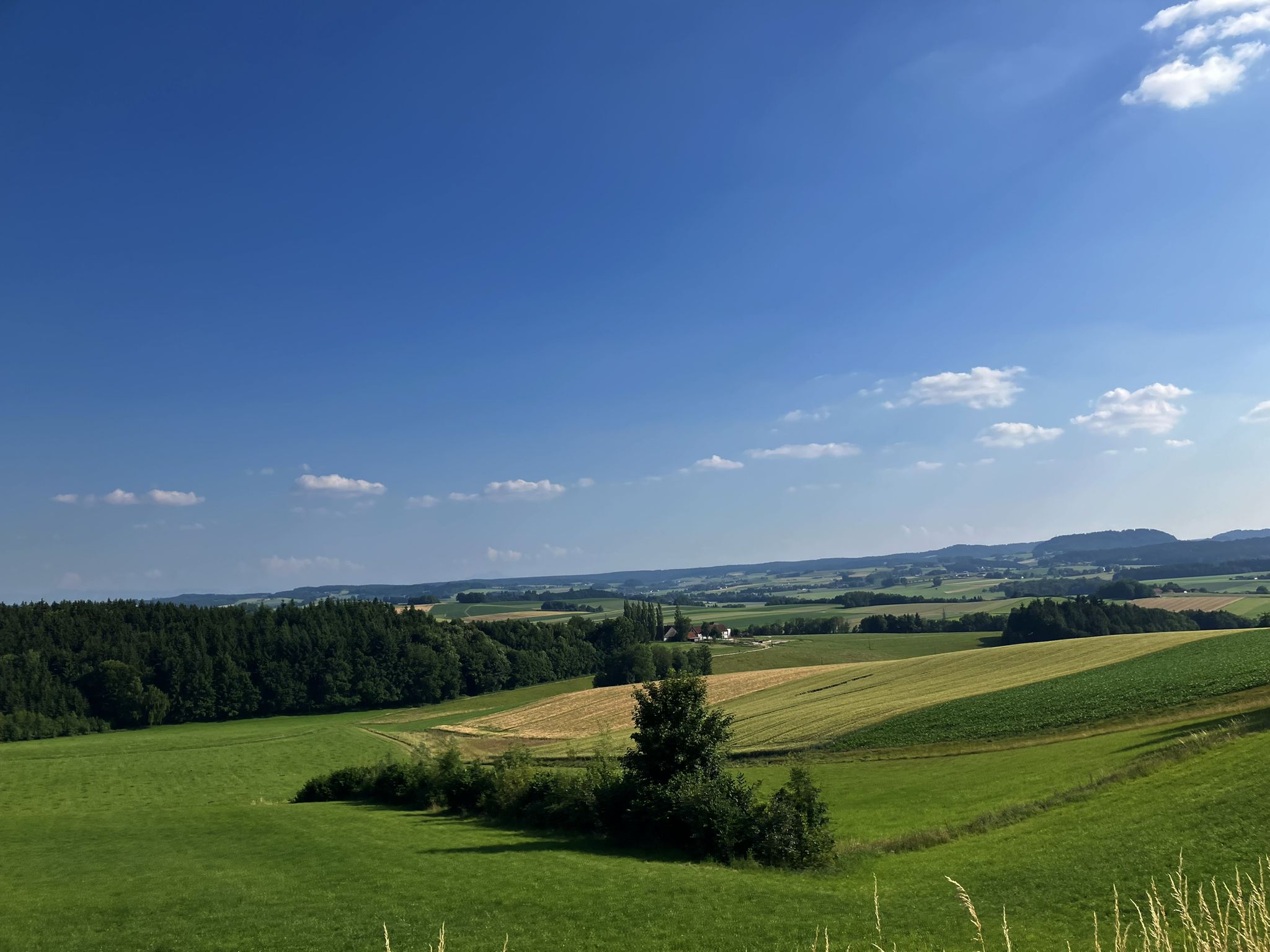 Ausblick 😊