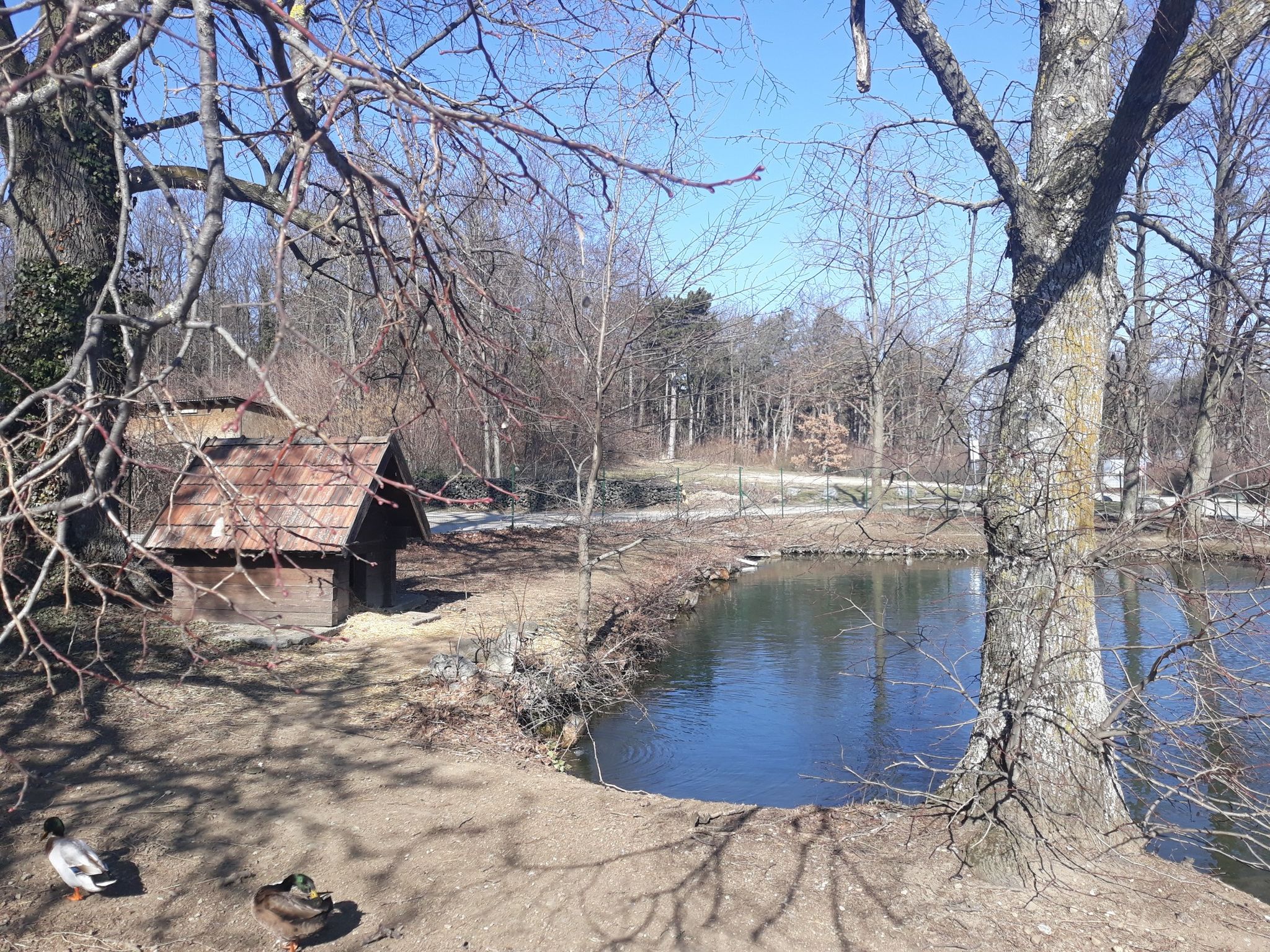 Teich am Richardshof 
