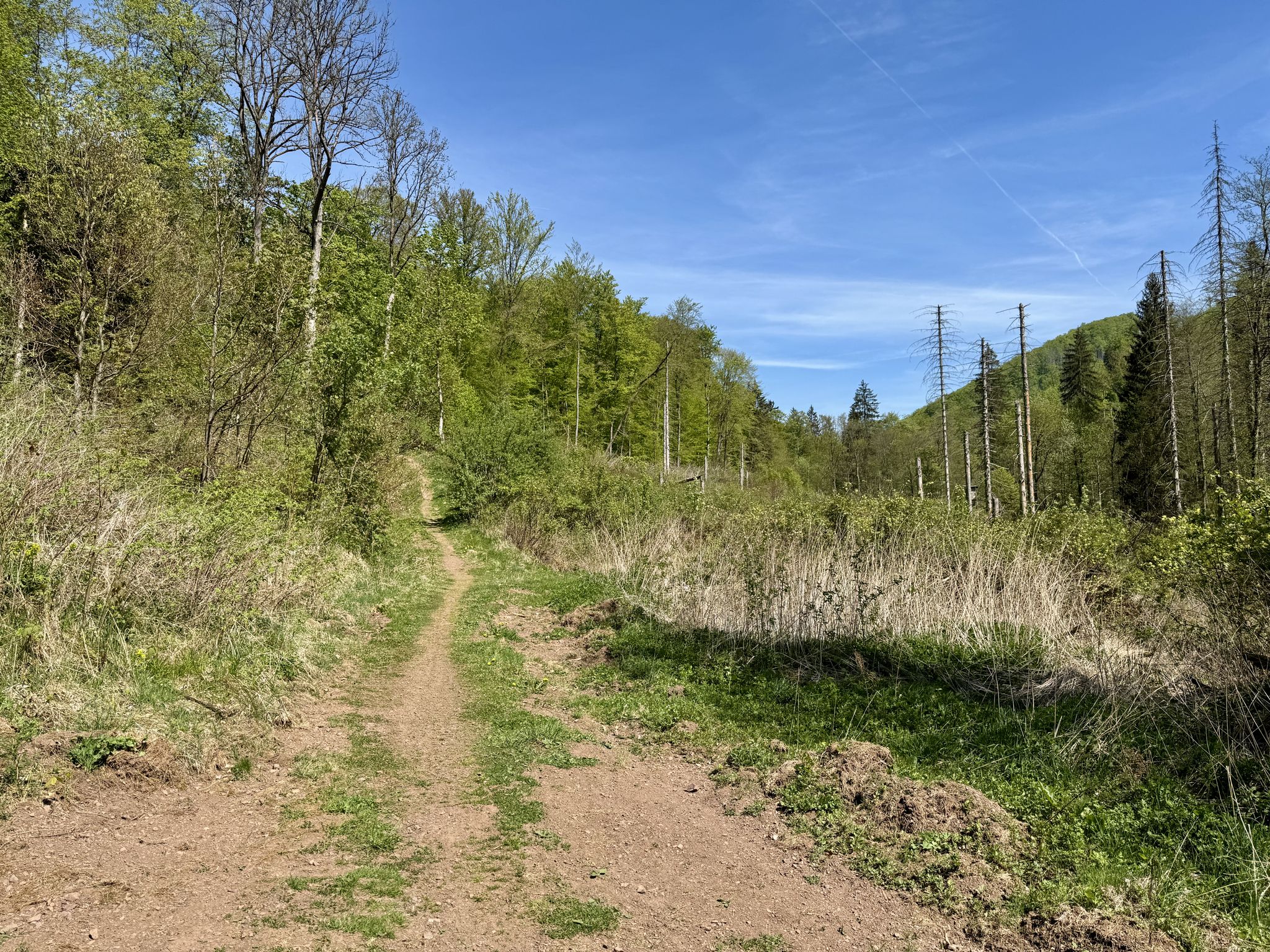 Trail hoch zur Wasserscheide/Hohe Tür
