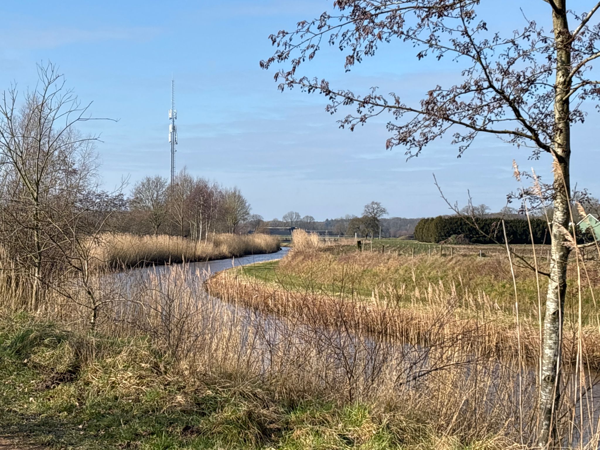 achterom kijkend de laatste foto van de Schipbeek...