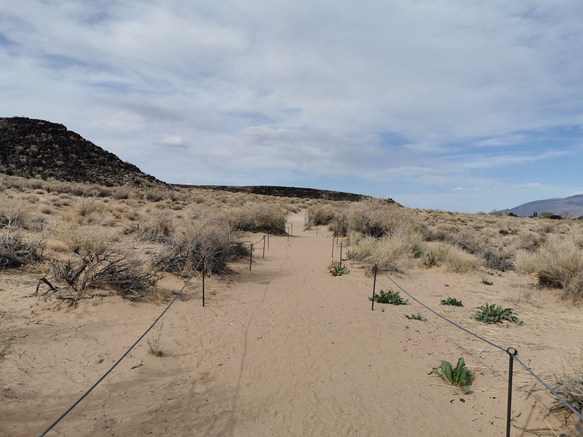 A sandy desert path with rope barriers leading into the distance. - Piedras Marcadas Canyon Trail