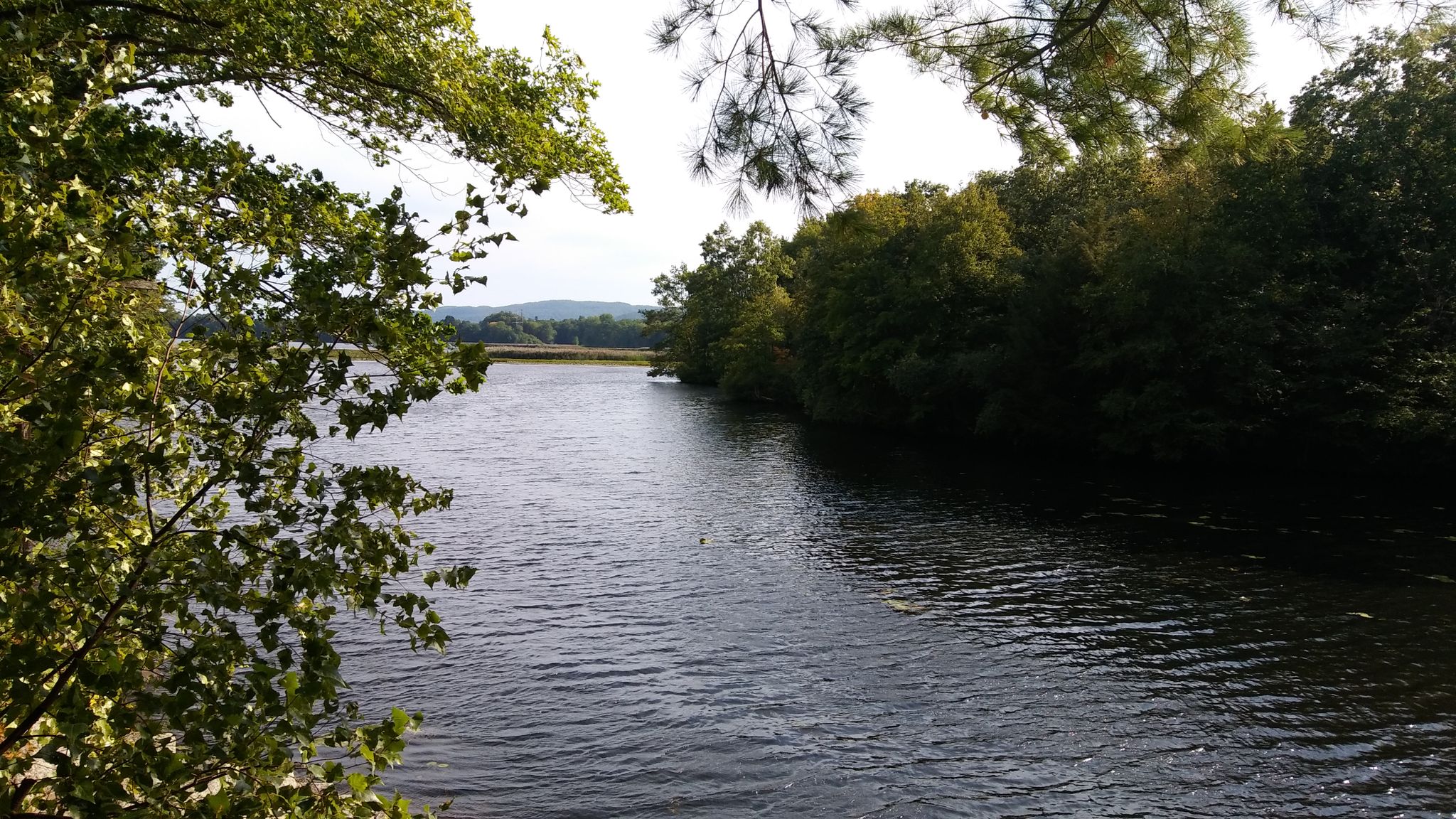 A wide river flows between lush green banks under bright skies. - Fort Hill Recreational Rail Trail