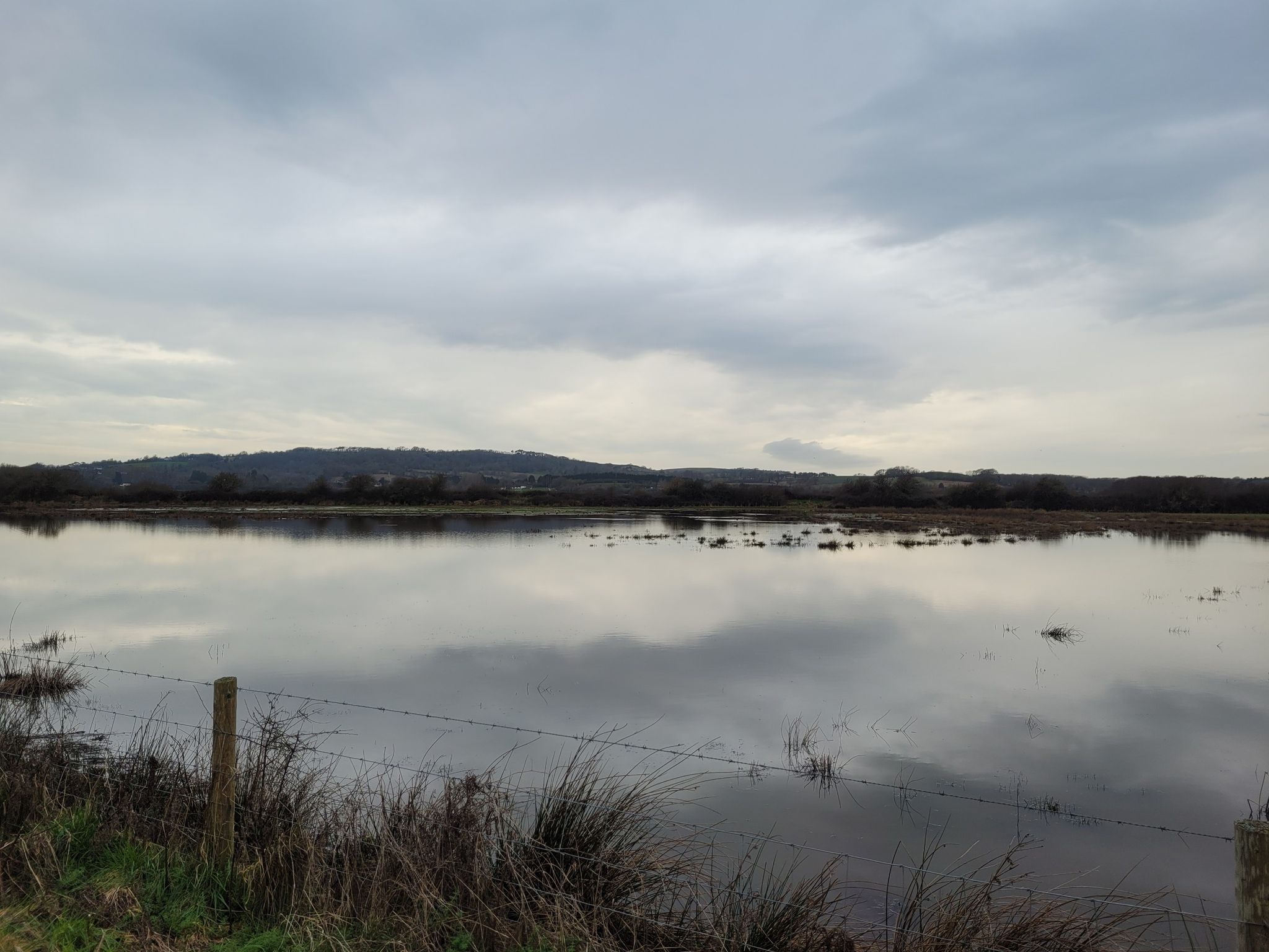 Brading Marshes